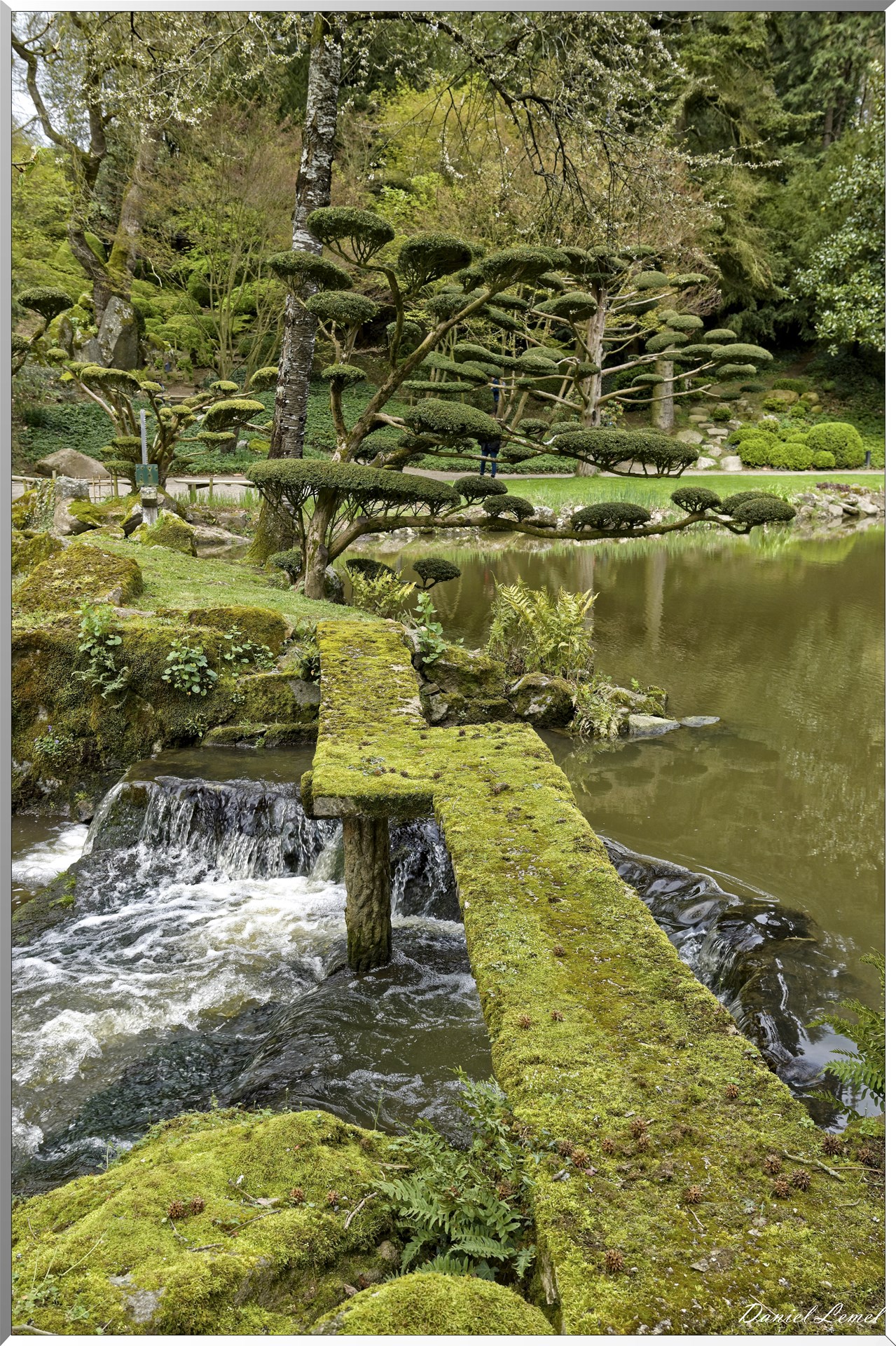Parc Oriental de Maulévrier au printemps