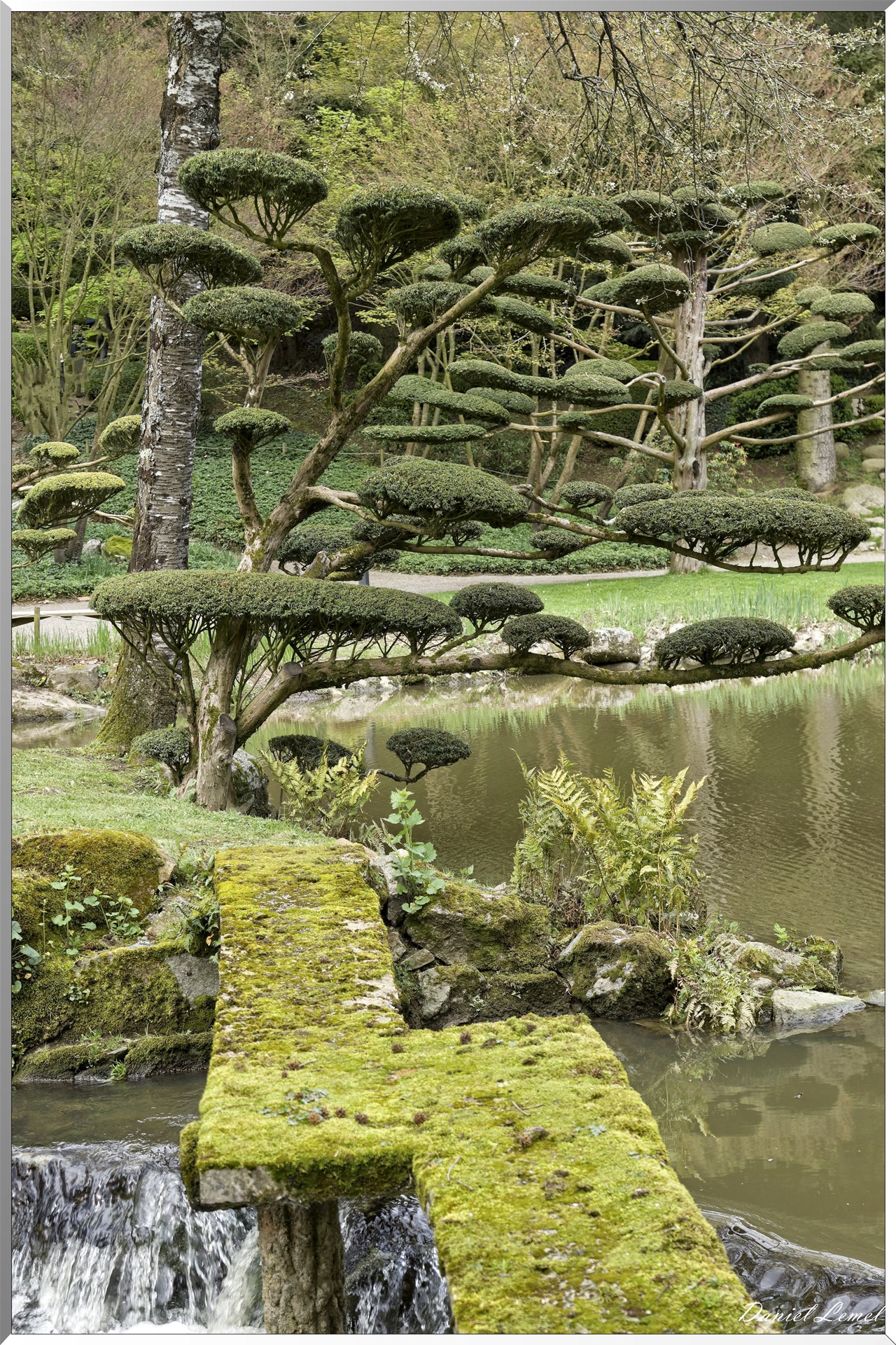 Parc Oriental de Maulévrier au printemps