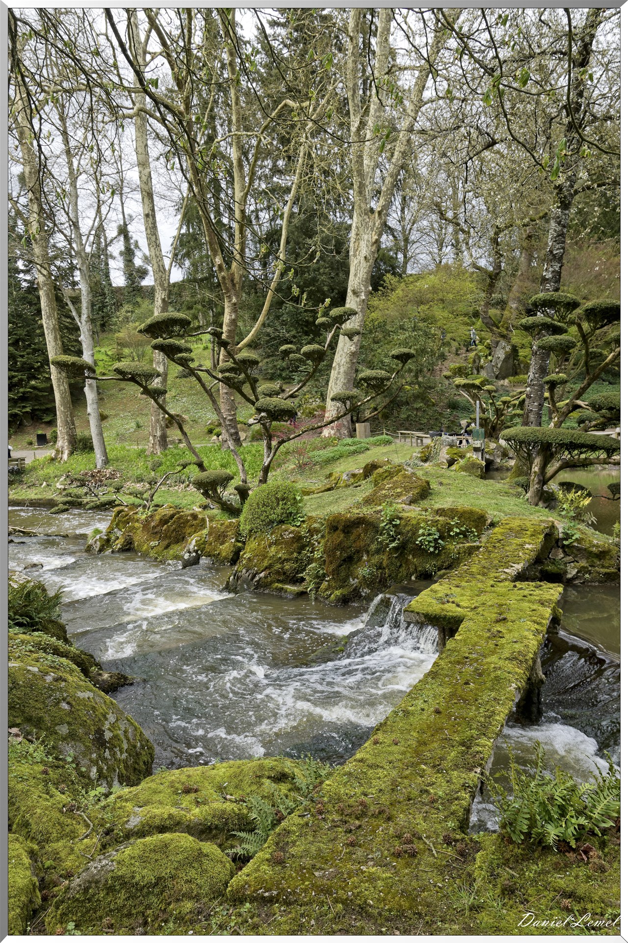 Parc Oriental de Maulévrier au printemps