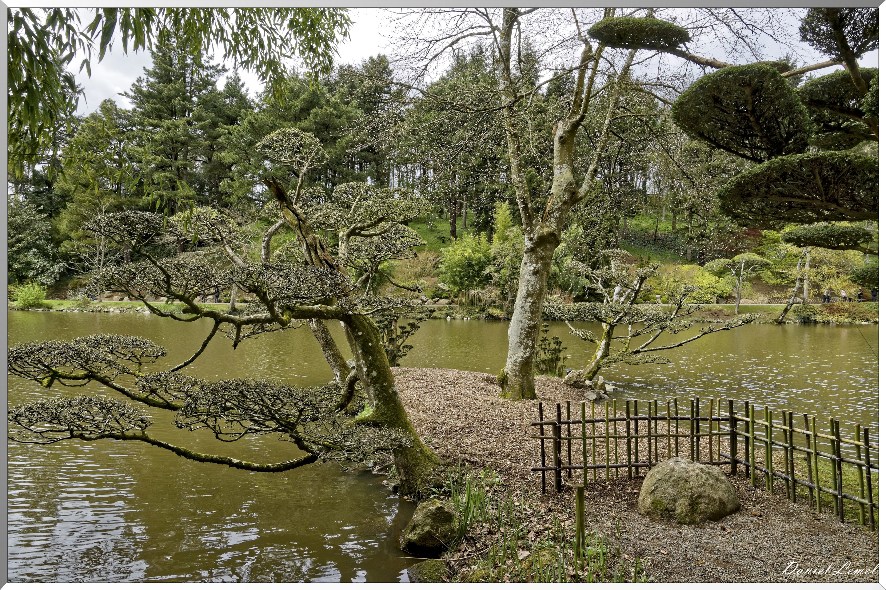 Parc Oriental de Maulévrier au printemps
