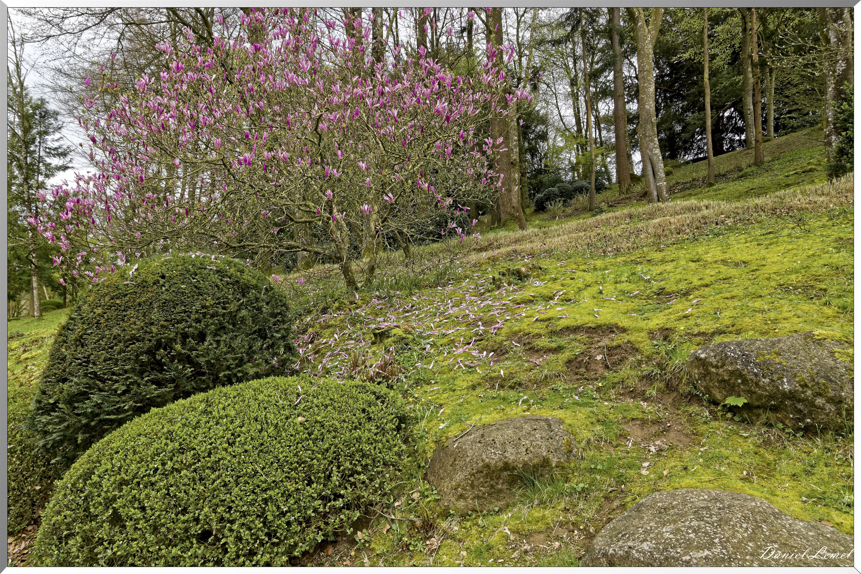 Parc Oriental de Maulévrier au printemps