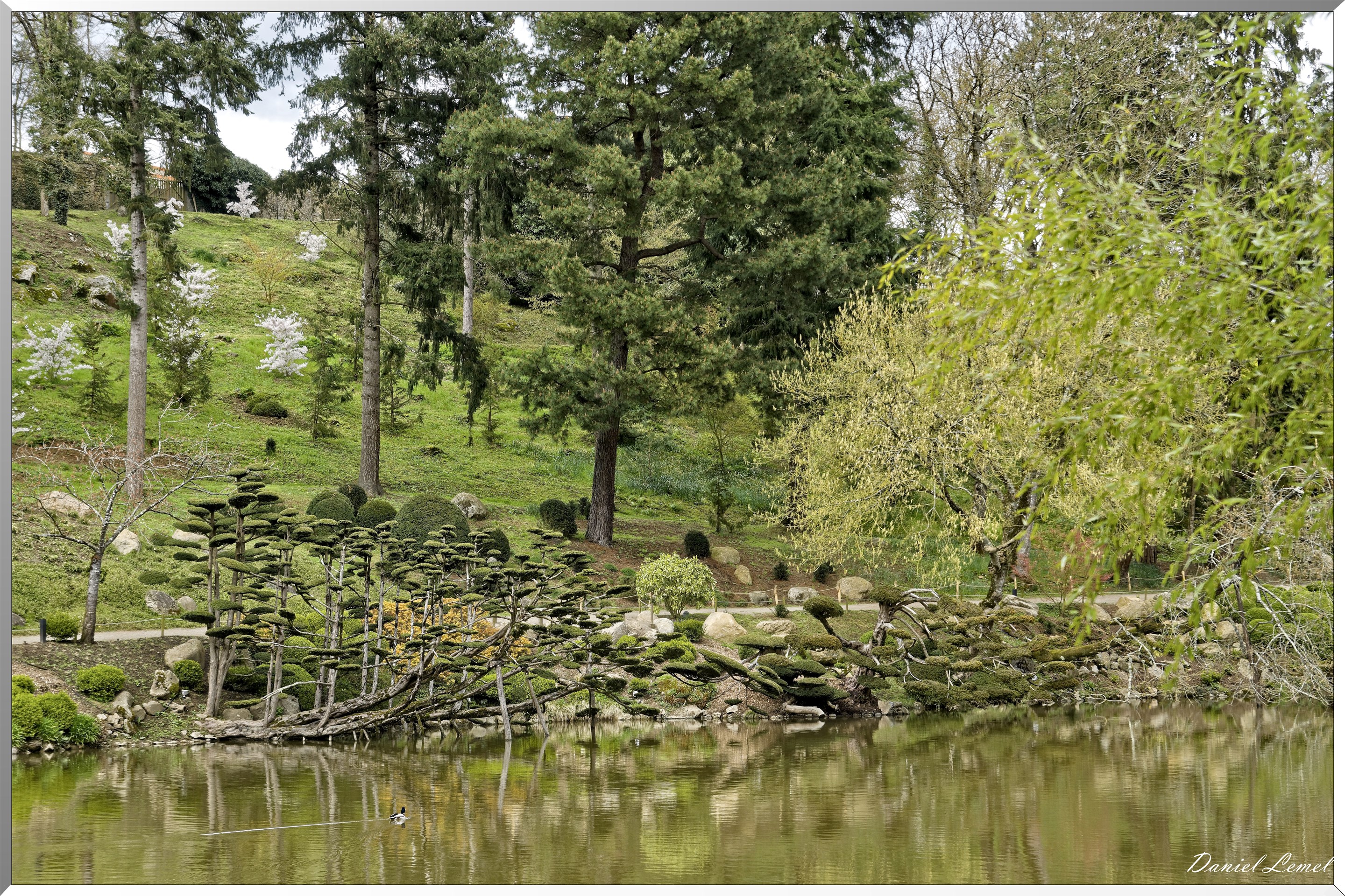 Parc Oriental de Maulévrier au printemps
