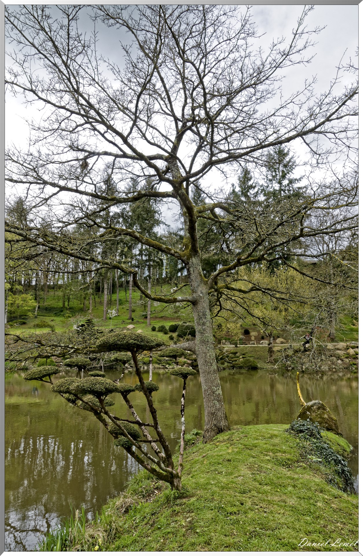 Parc Oriental de Maulévrier au printemps