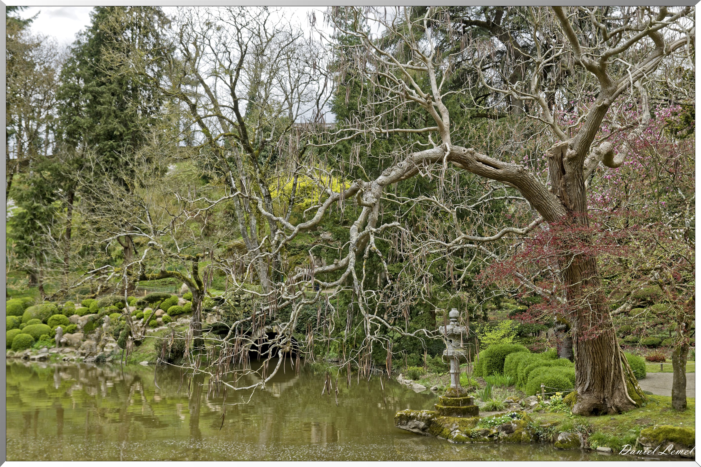 Parc Oriental de Maulévrier au printemps