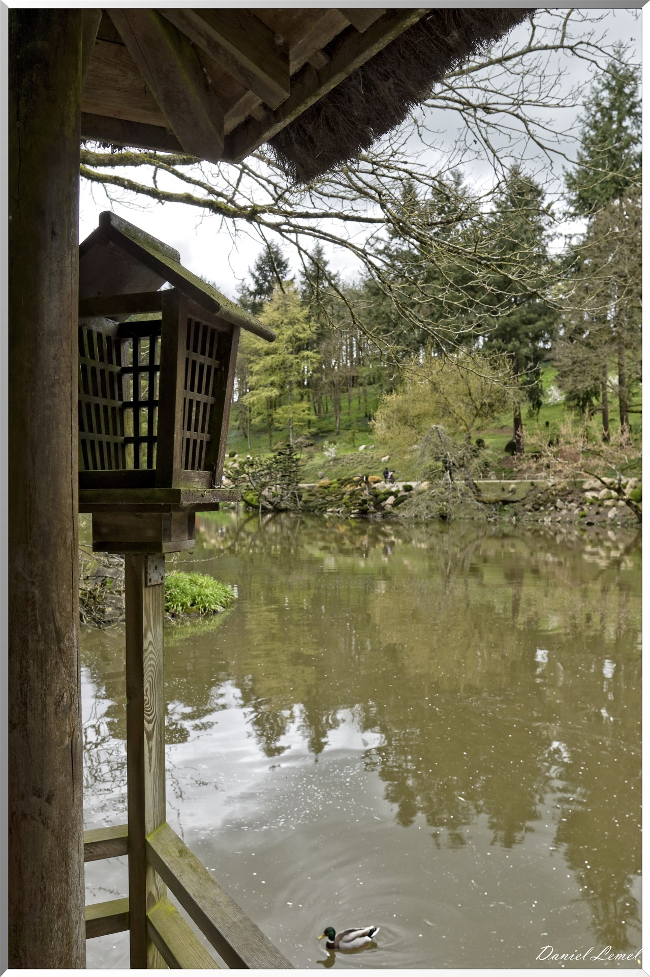 Parc Oriental de Maulévrier au printemps