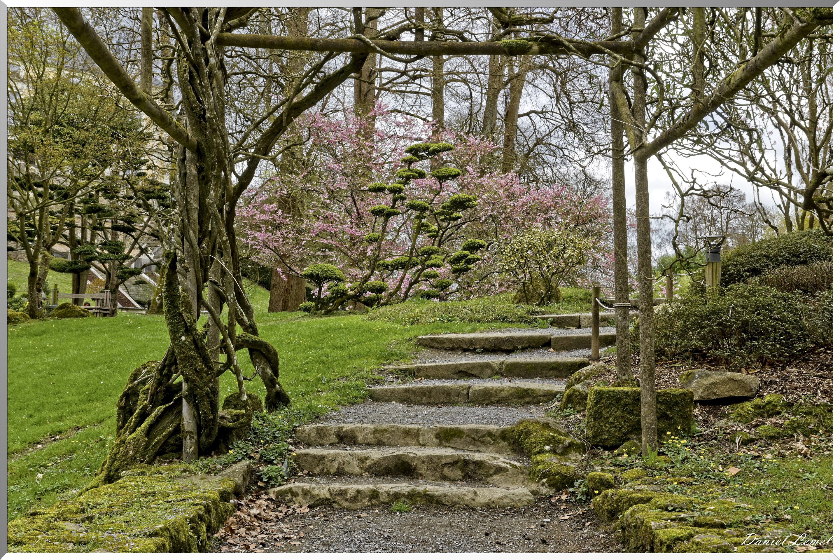 Parc Oriental de Maulévrier au printemps
