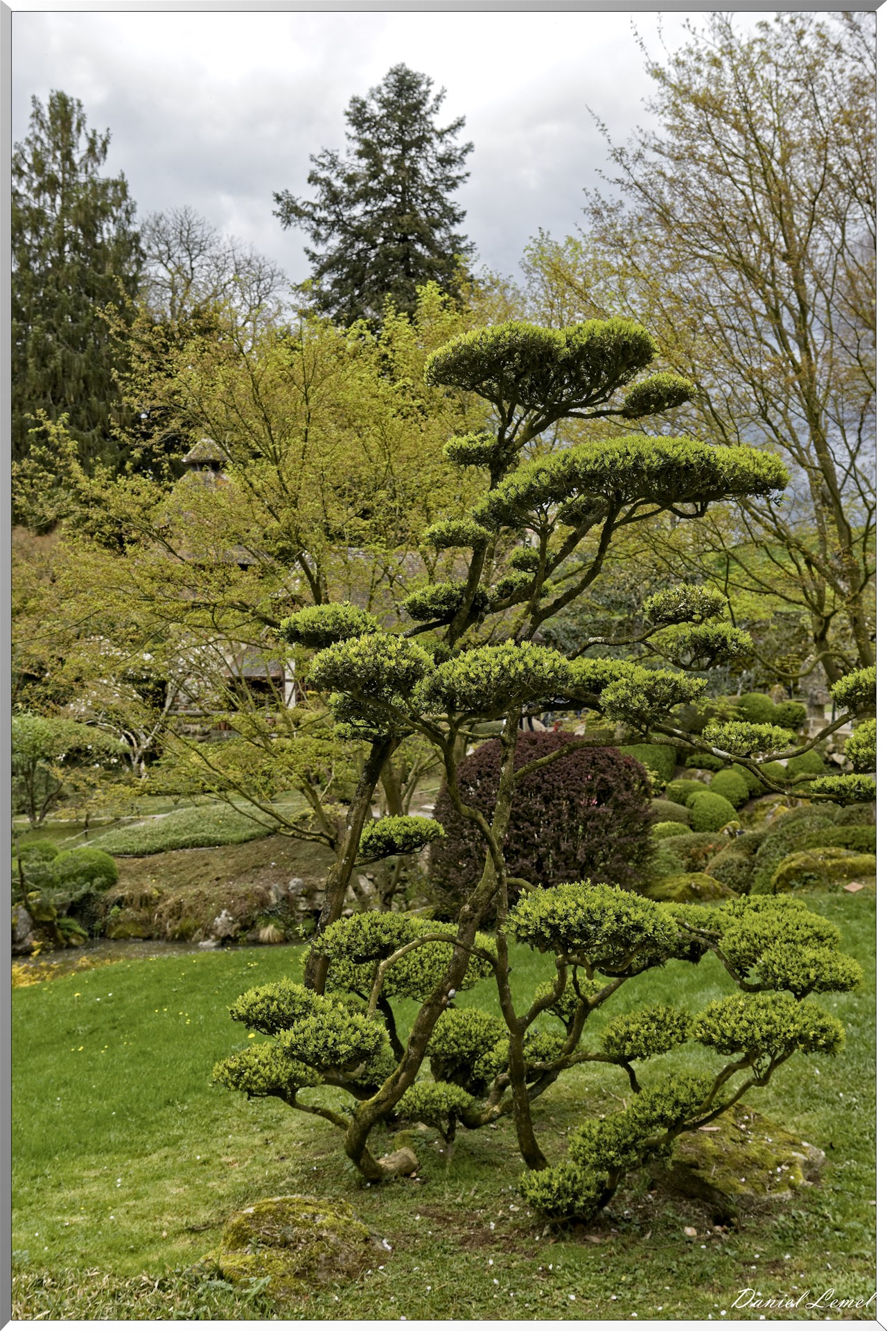 Parc Oriental de Maulévrier au printemps