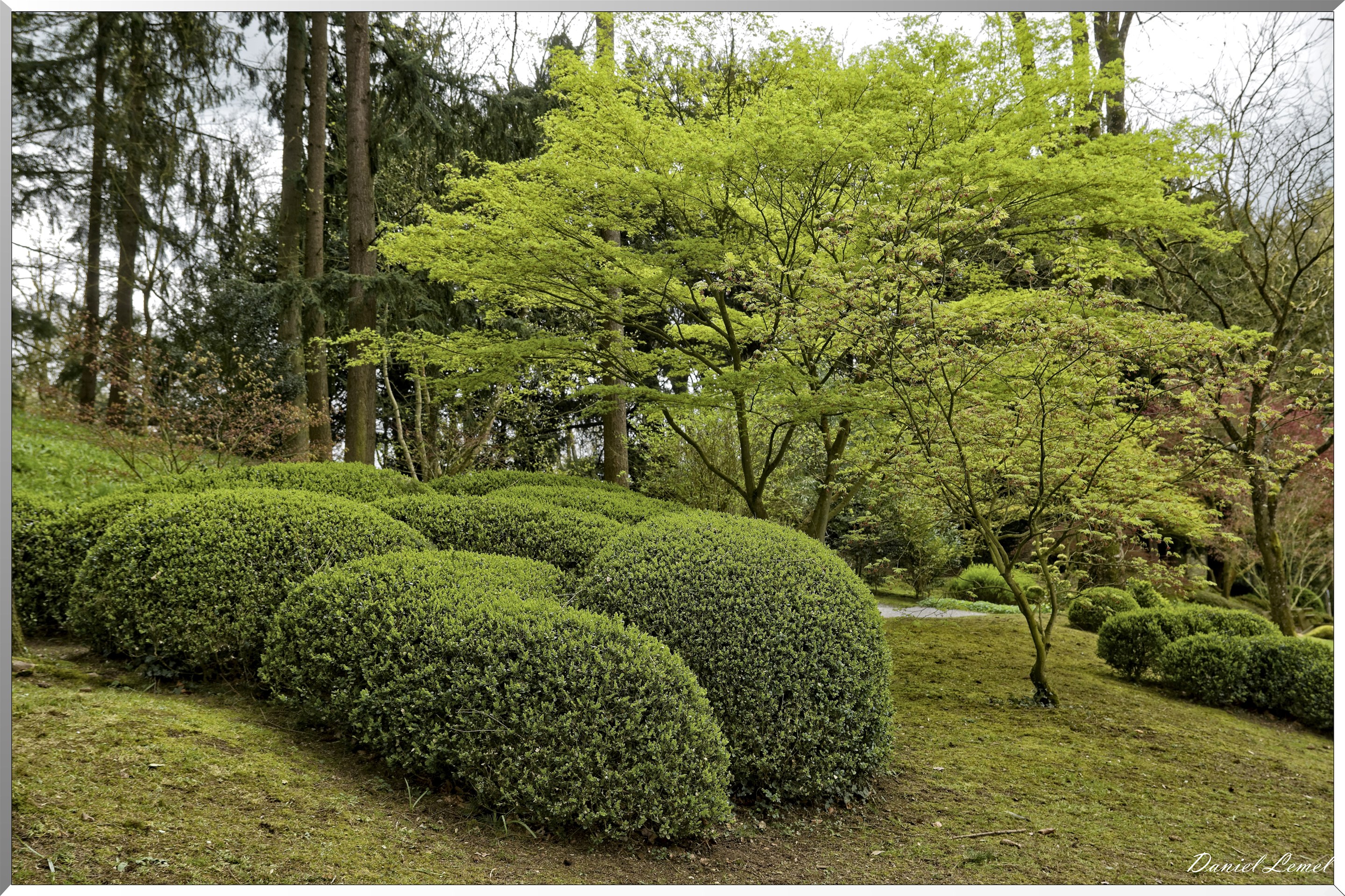 Parc Oriental de Maulévrier au printemps