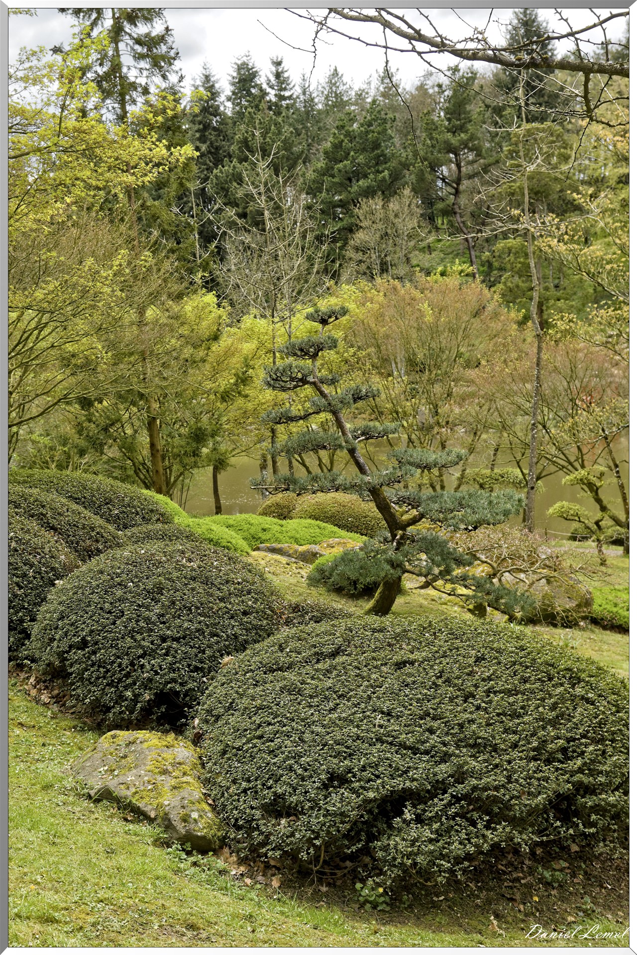 Parc Oriental de Maulévrier au printemps