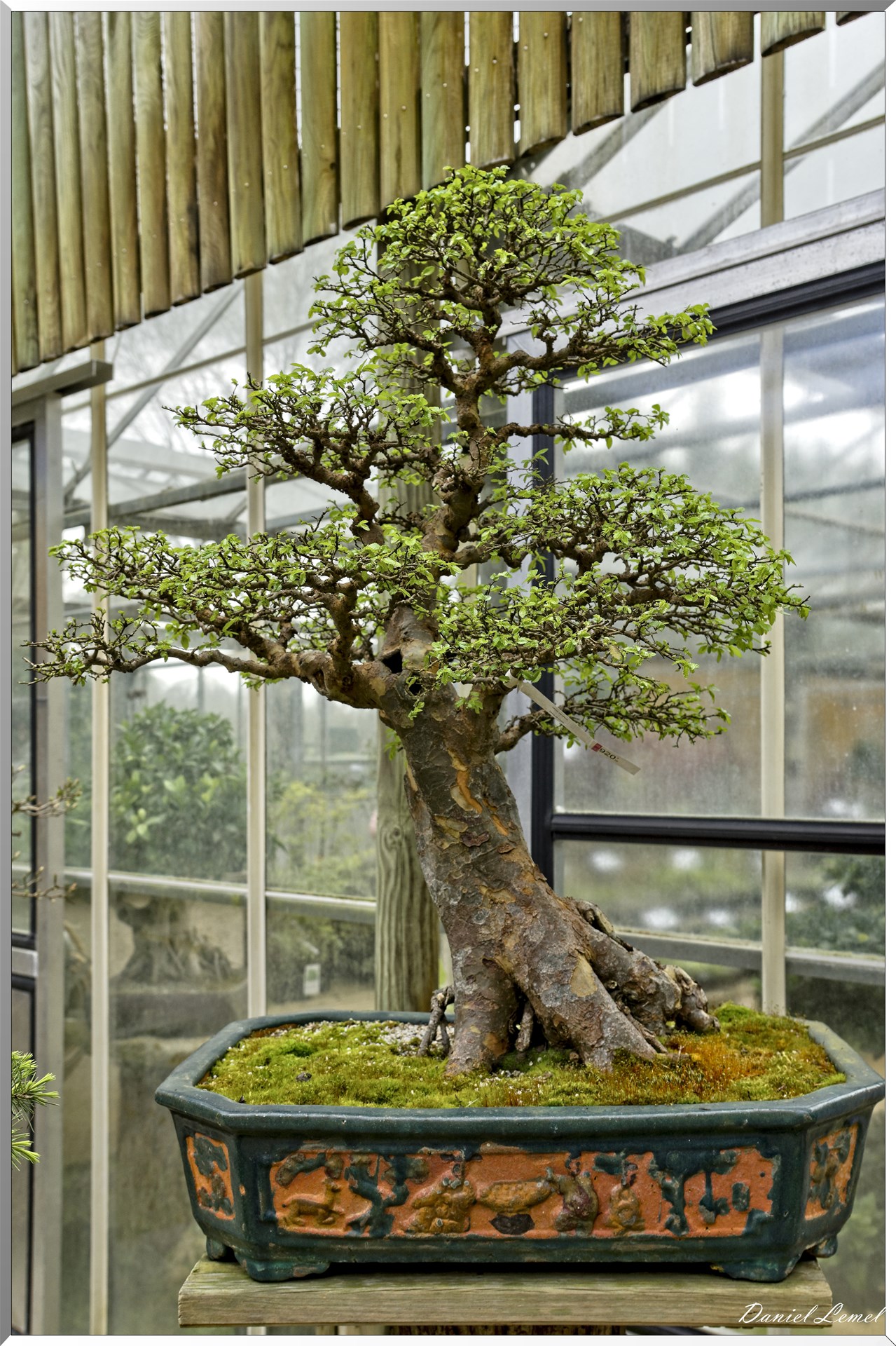 Parc Oriental de Maulévrier au printemps