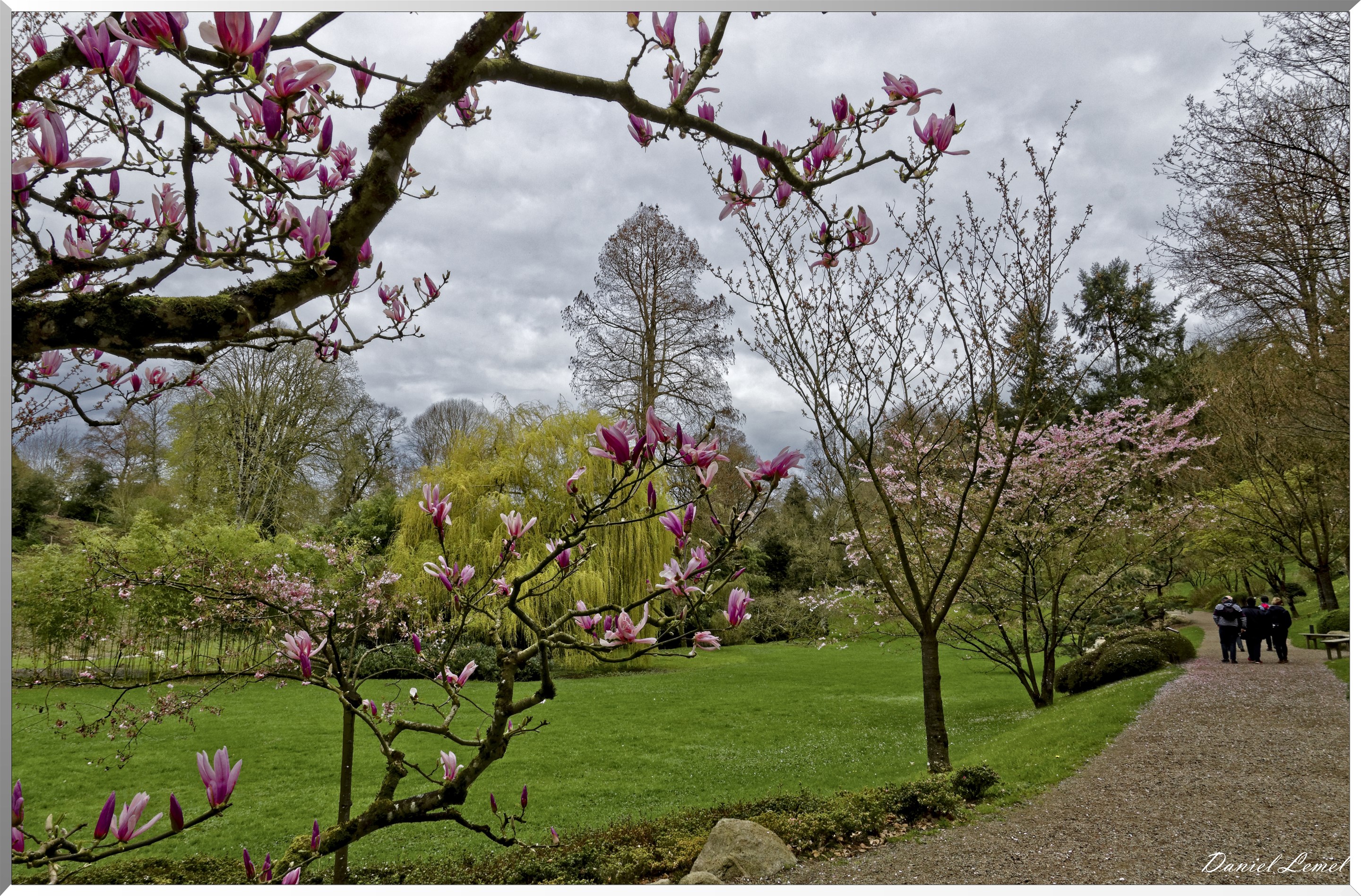 Parc Oriental de Maulévrier au printemps