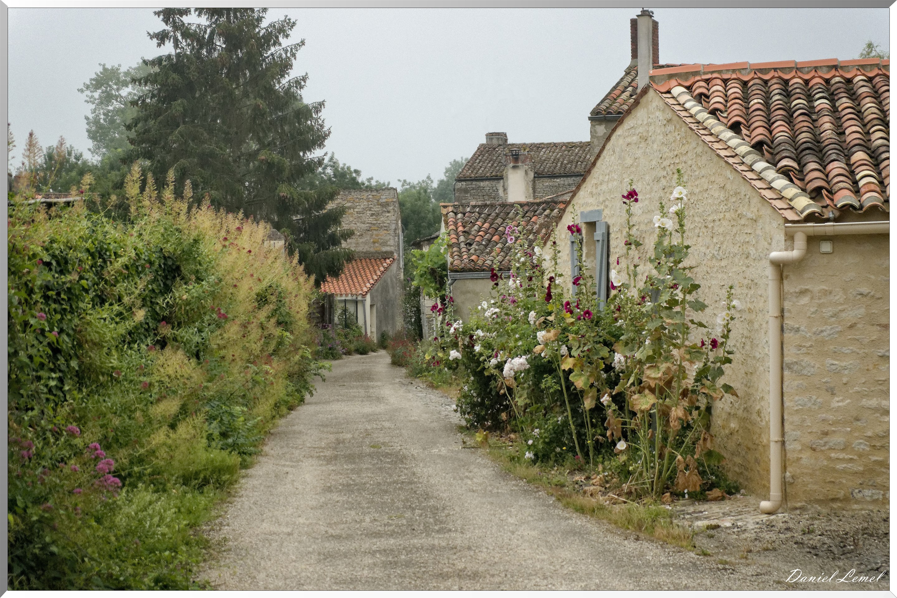 Maisons de Maillezais