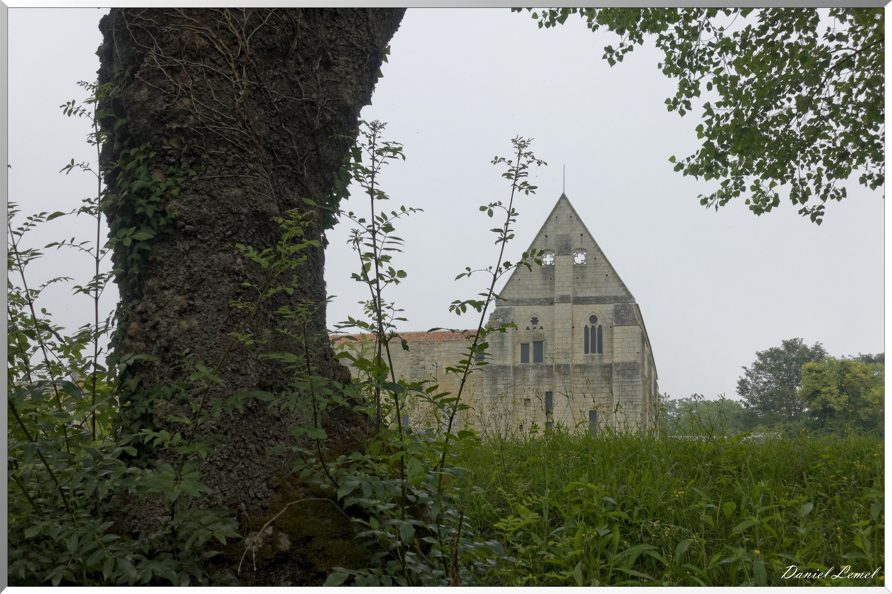 Abbaye de Maillezais