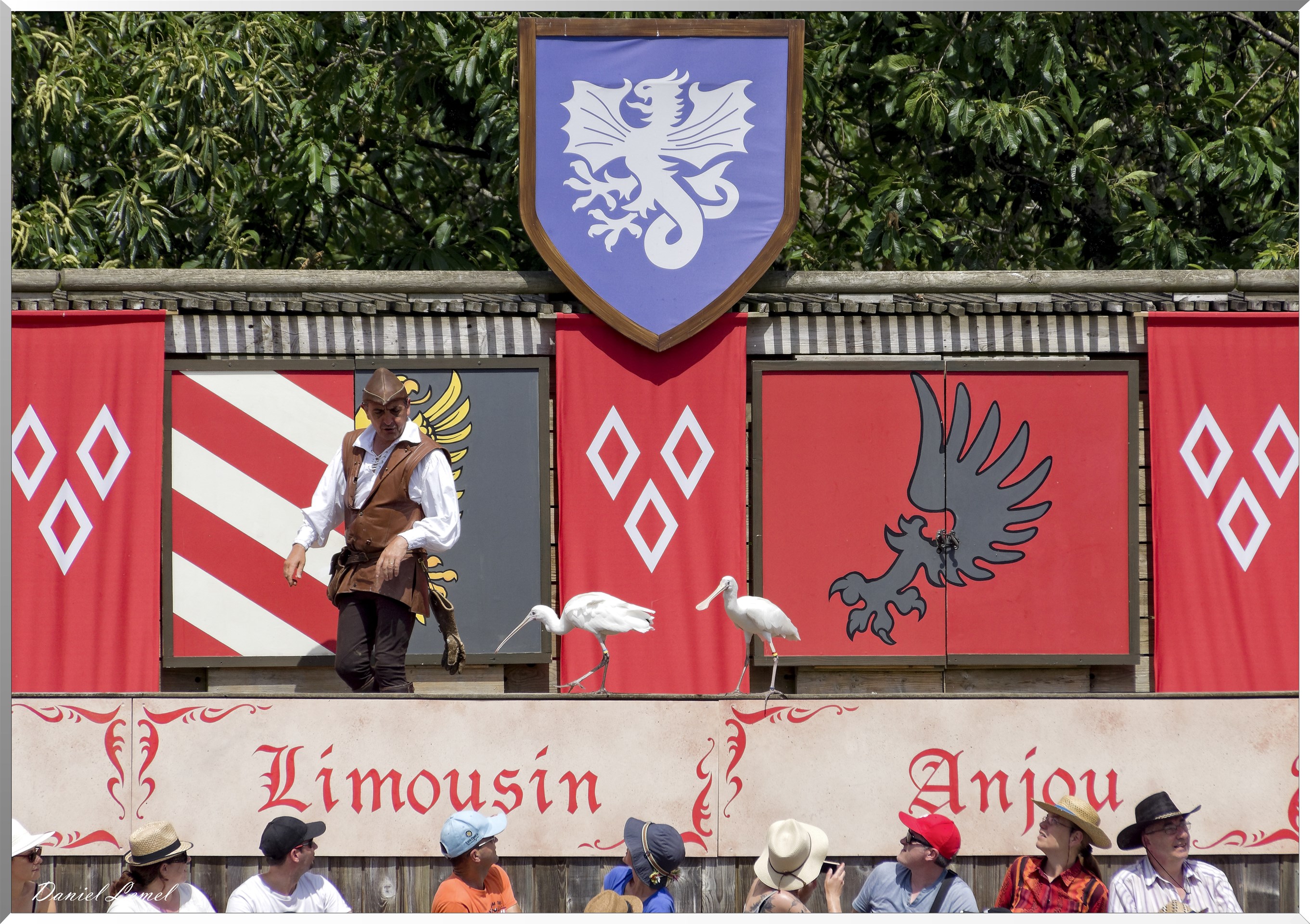 Le Bal des Oiseaux Fantômes