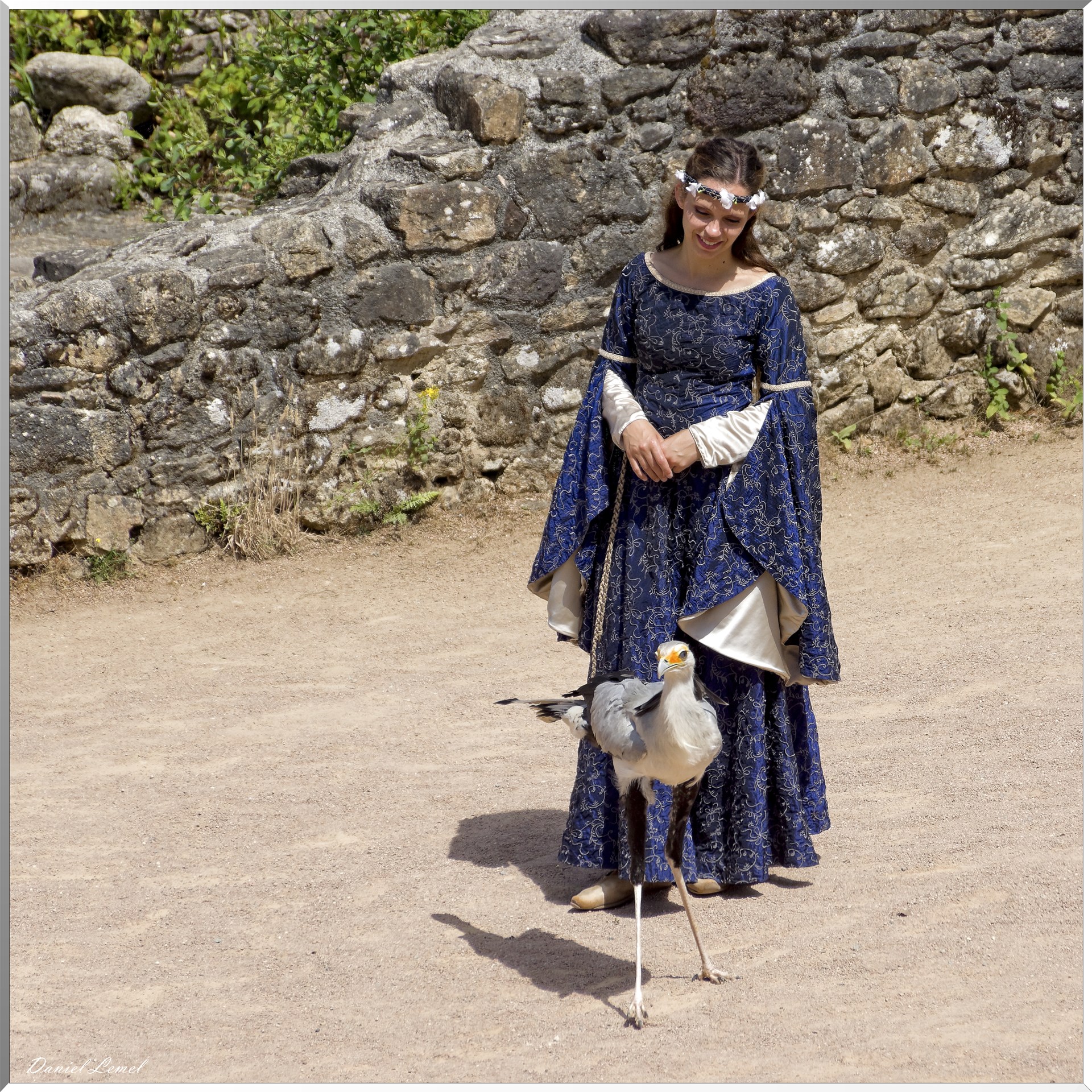 Le Bal des Oiseaux Fantômes