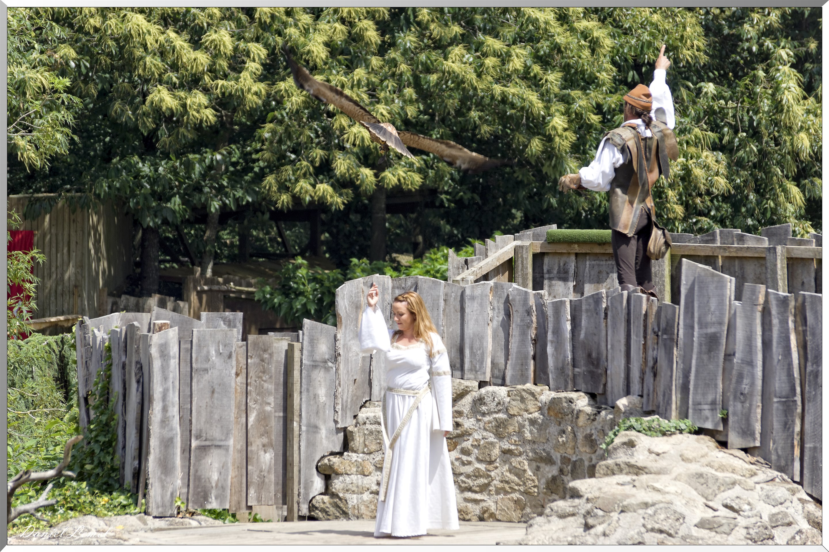 Le Bal des Oiseaux Fantômes