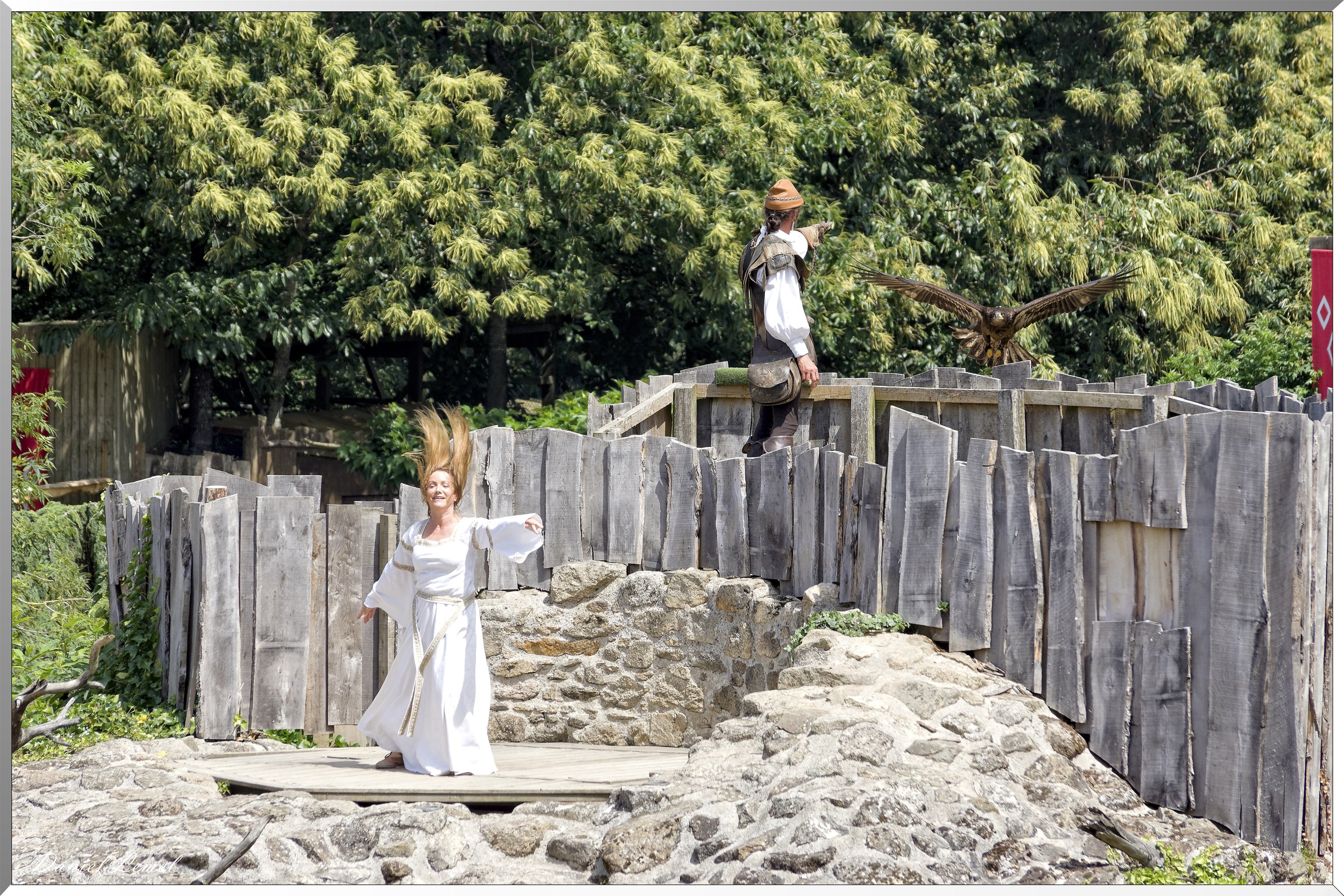 Le Bal des Oiseaux Fantômes