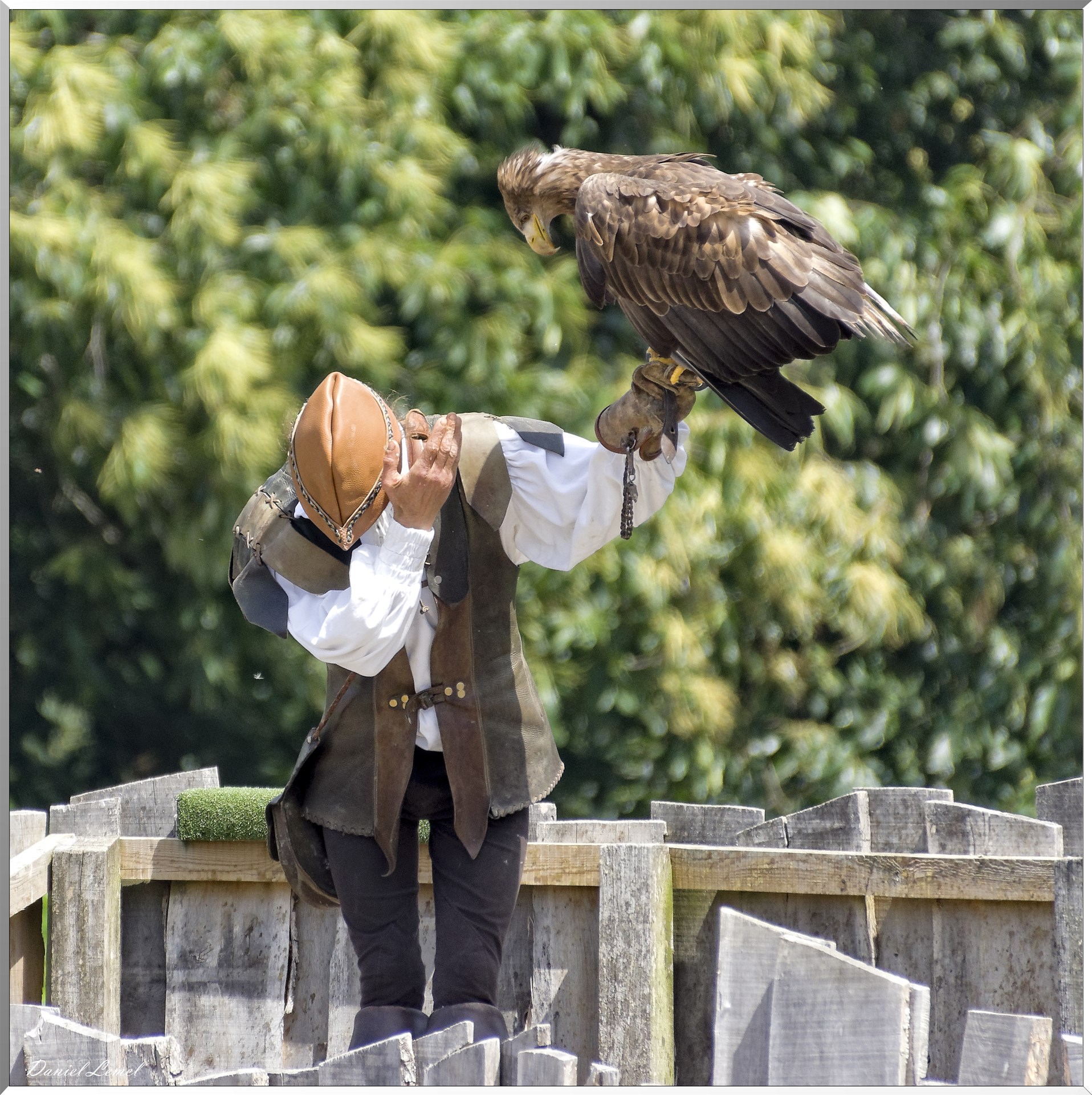 Le Bal des Oiseaux Fantômes