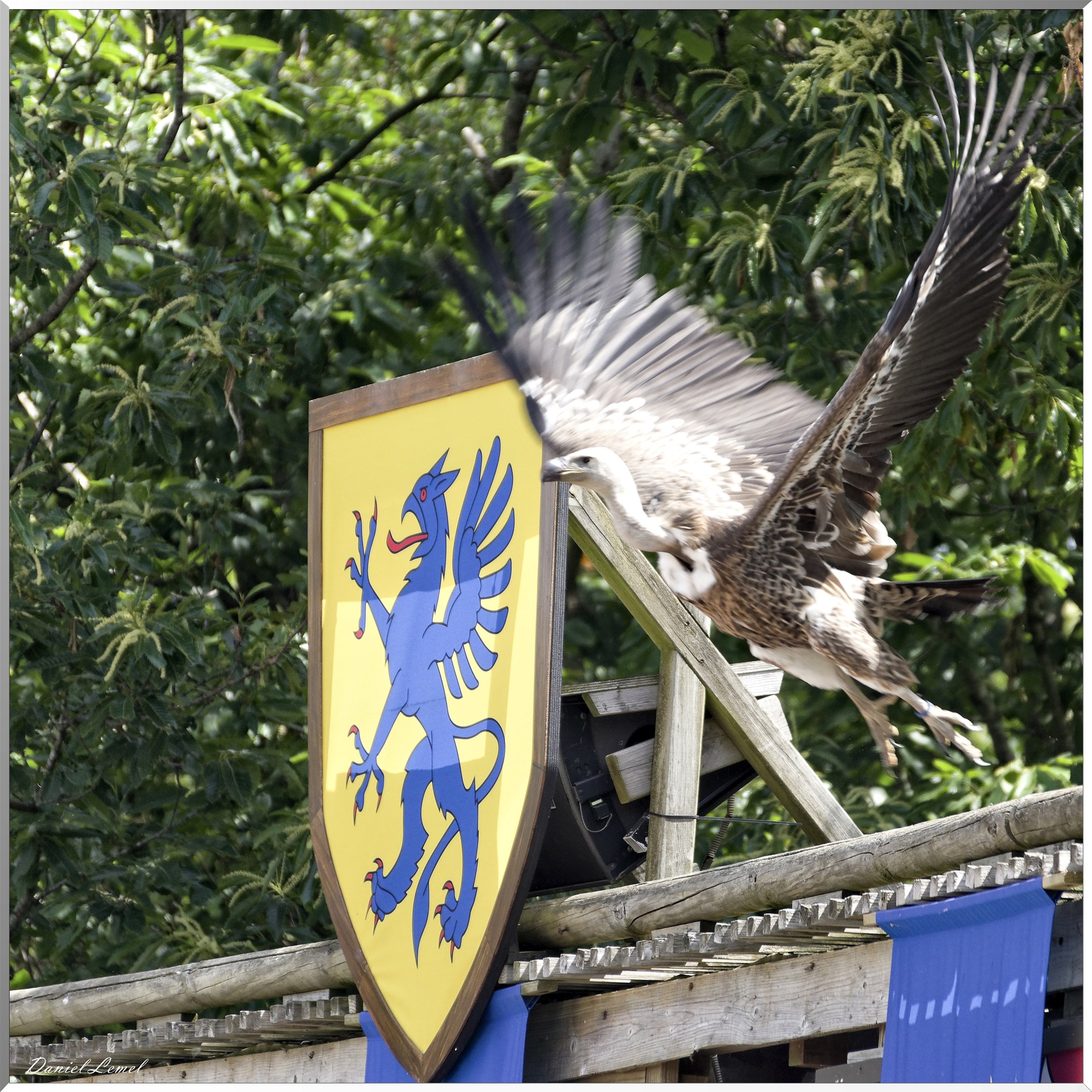 Le Bal des Oiseaux Fantômes