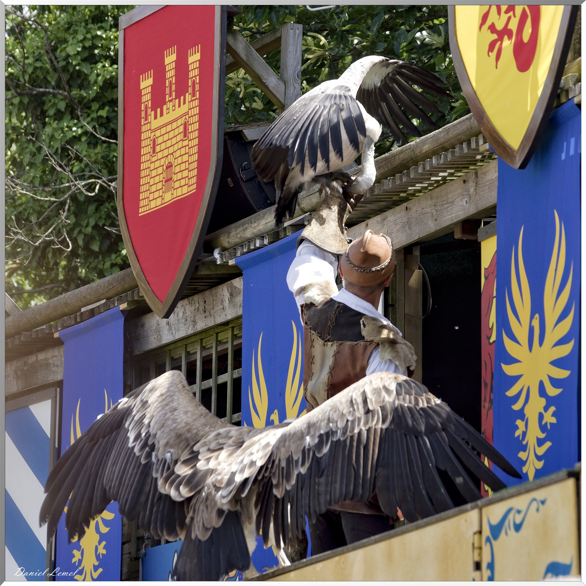 Le Bal des Oiseaux Fantômes