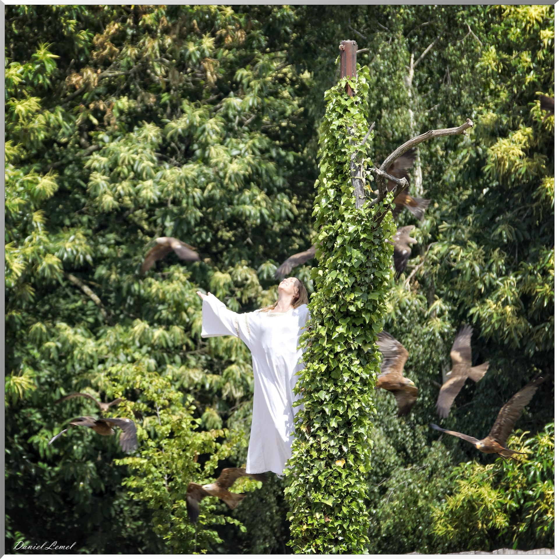 Le Bal des Oiseaux Fantômes