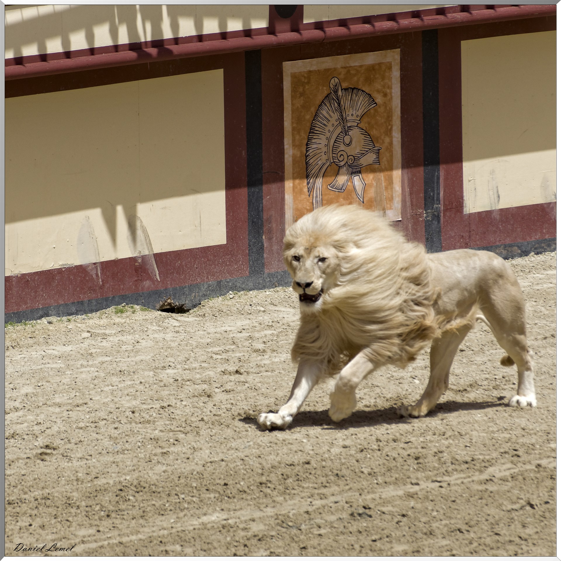 Le Signe du Triomphe