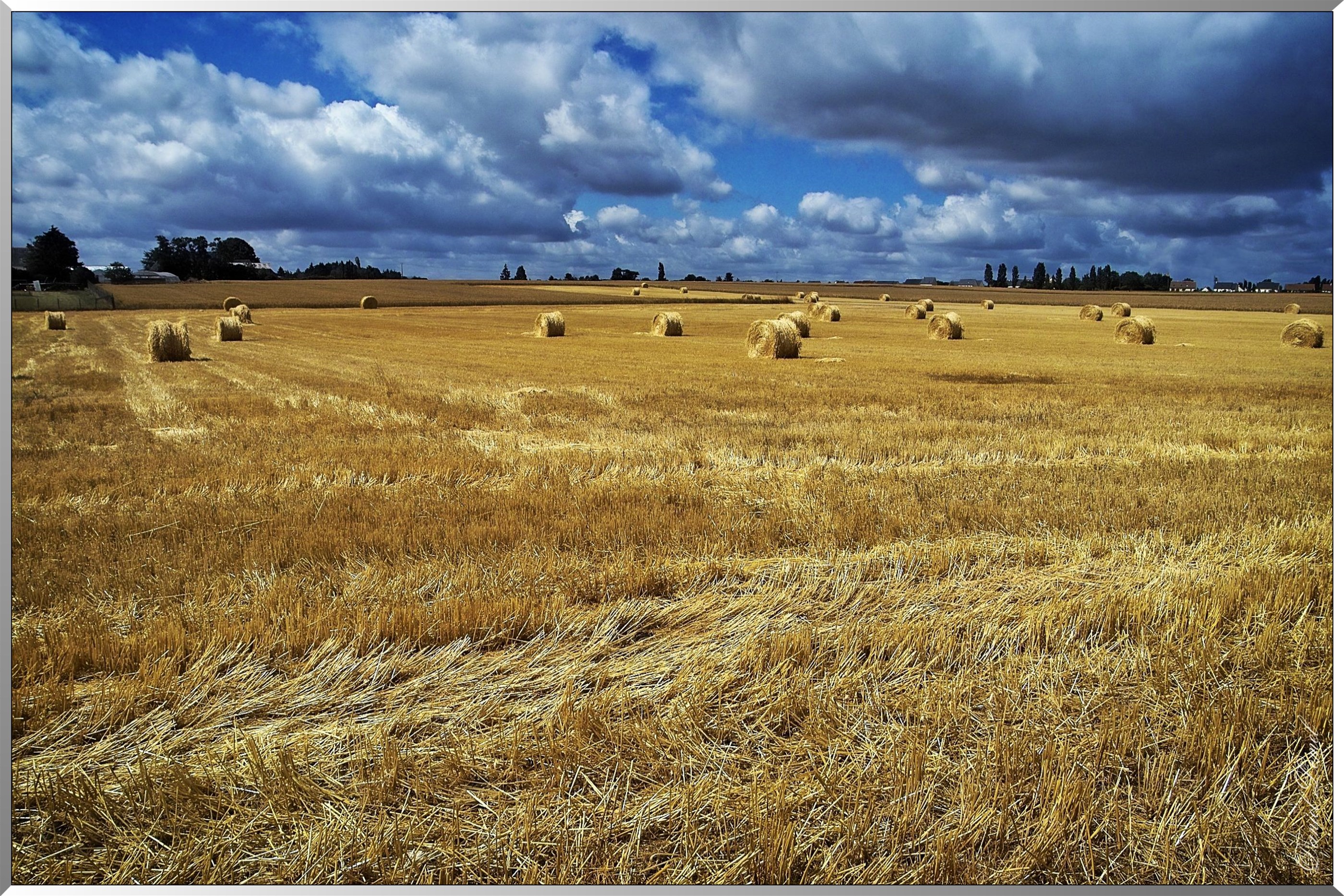 Campagne Tourangelle