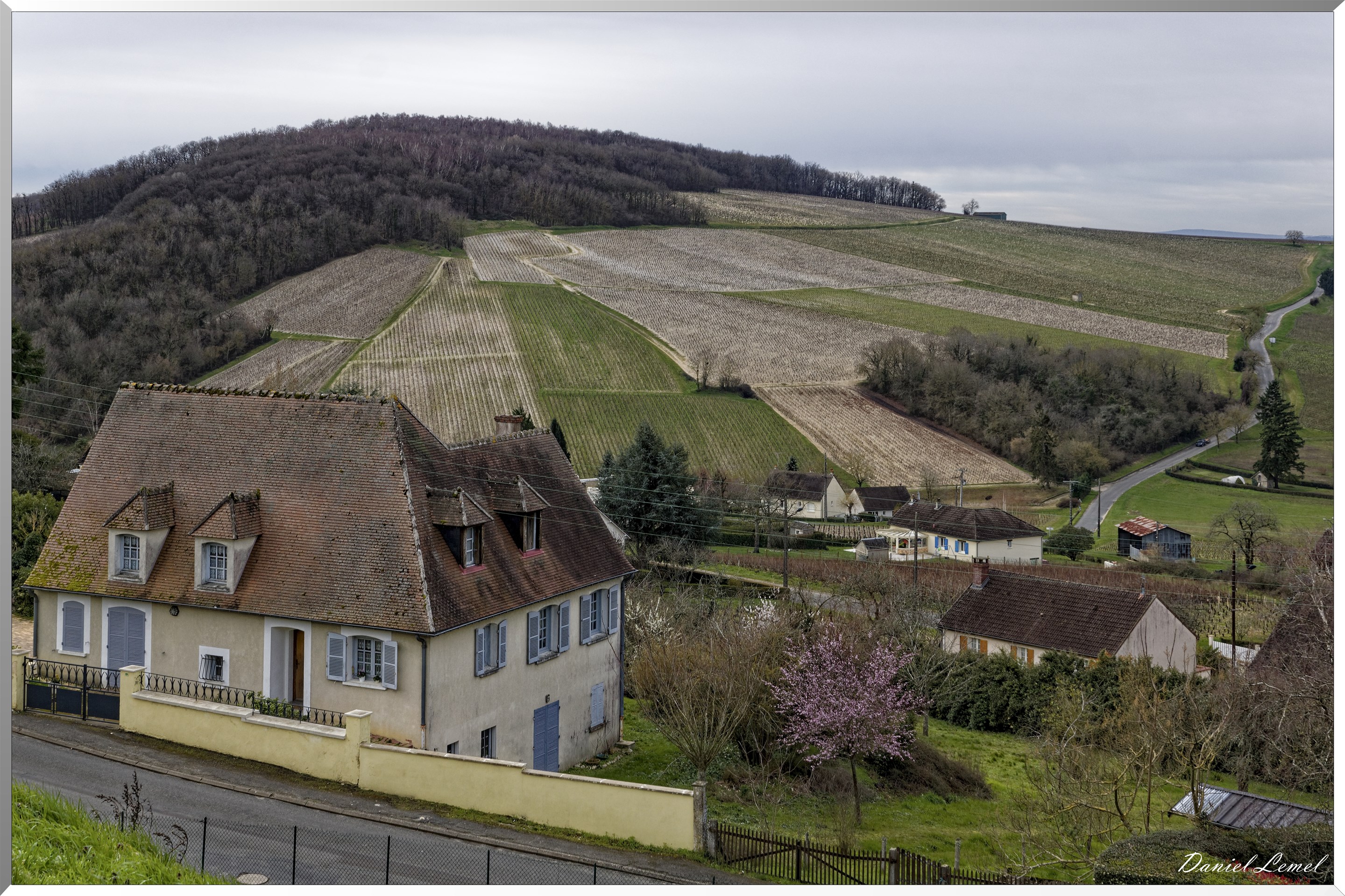 Sancerre