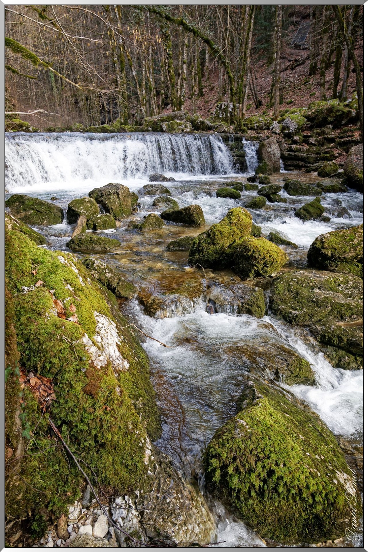 Torrent le Hérisson