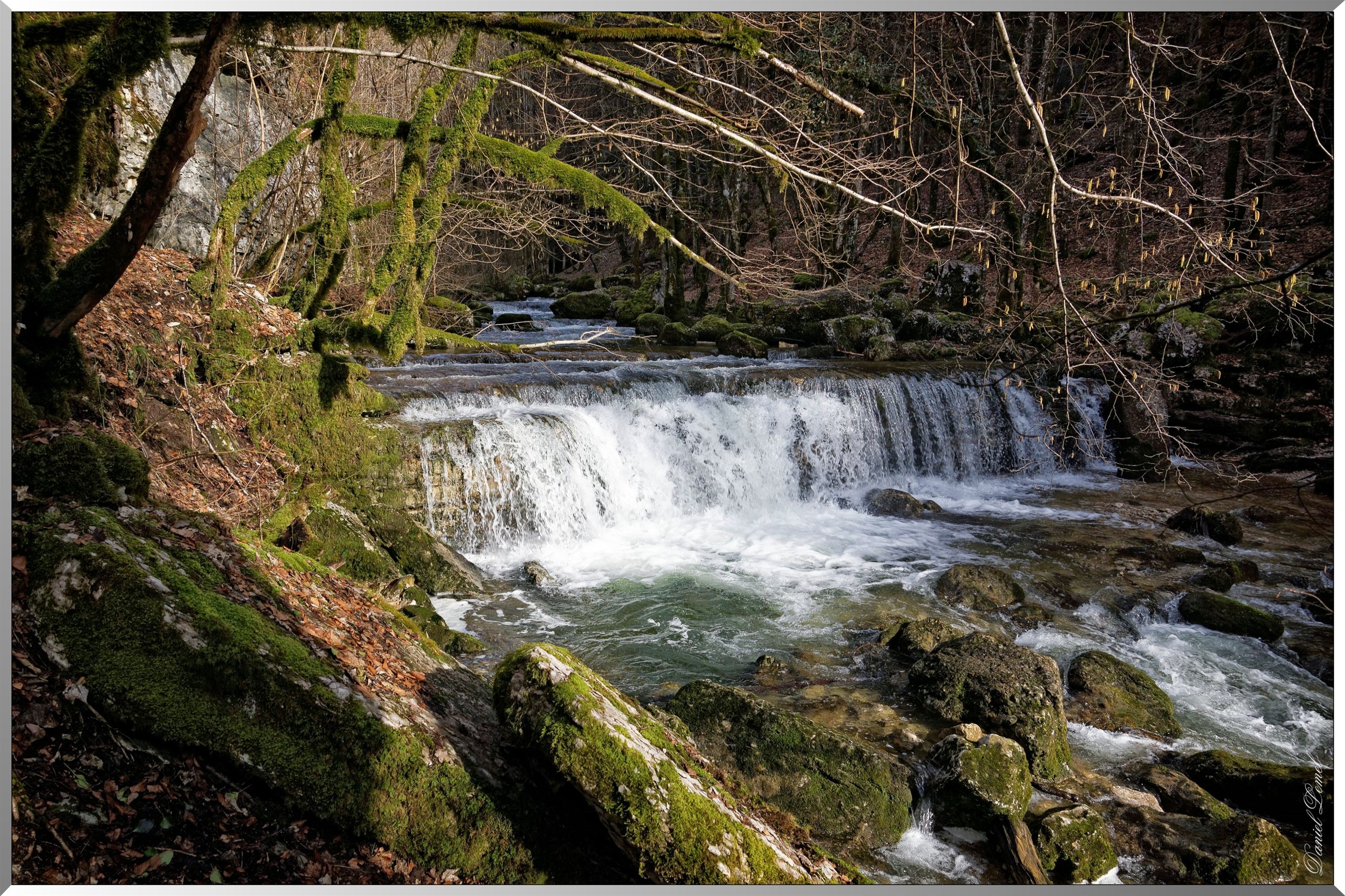 Torrent le Hérisson