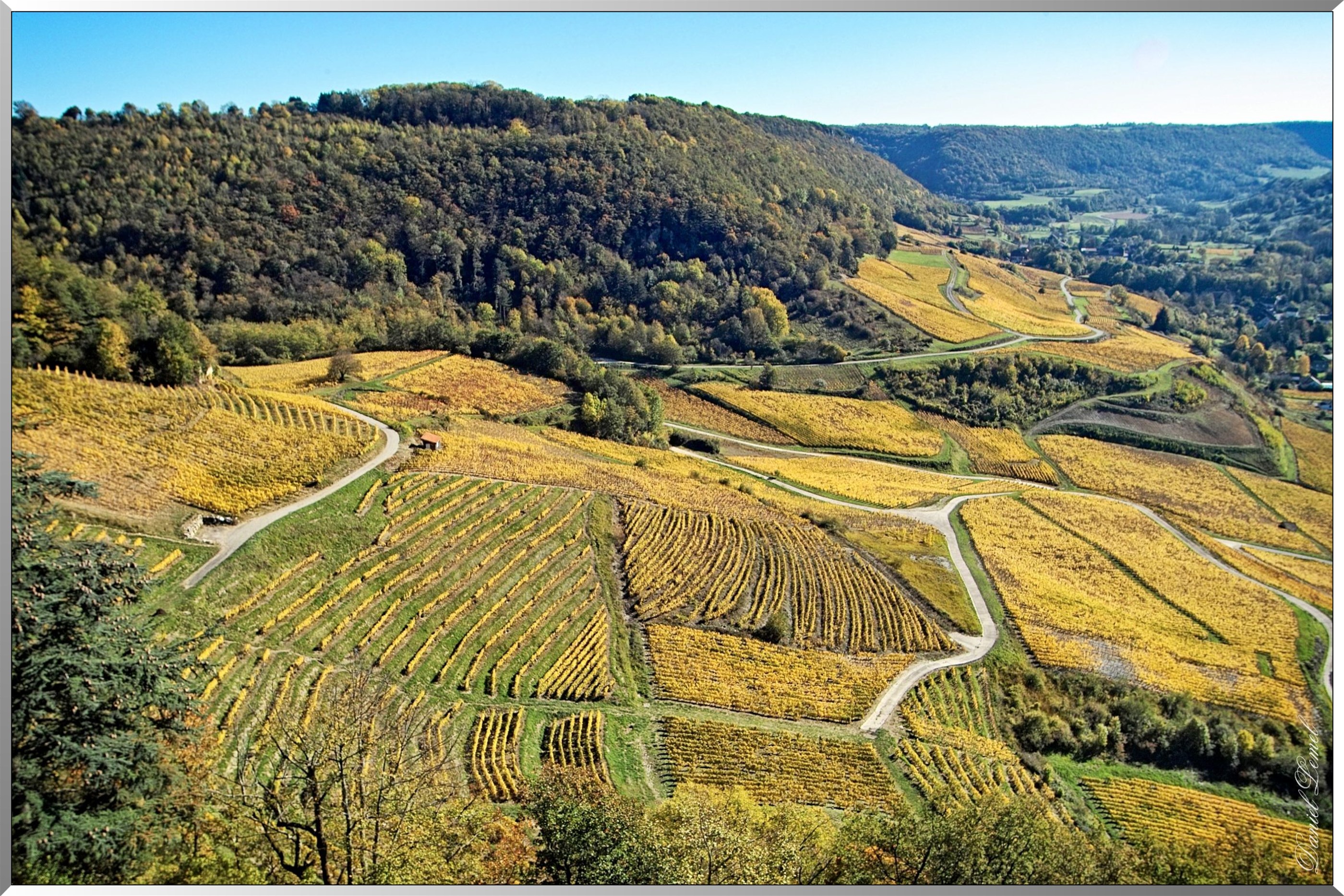 Vignobles de Château-Chalon