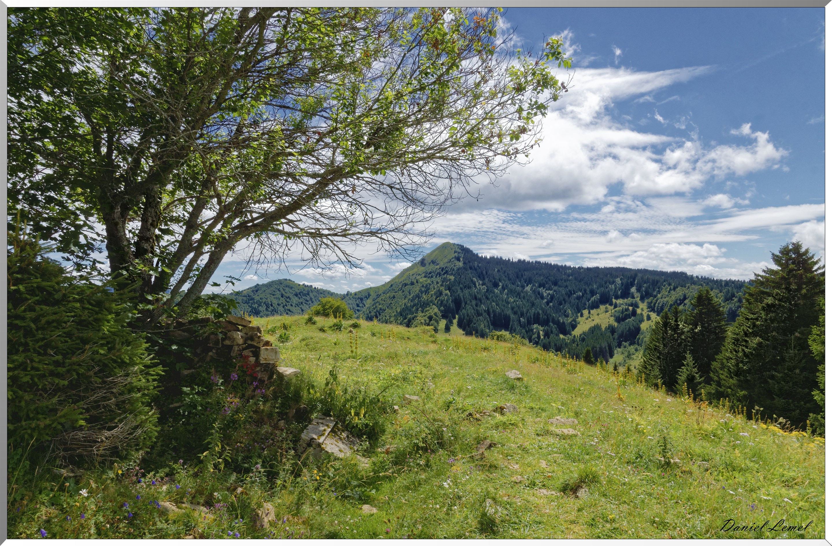 Le crêt de Chalanne