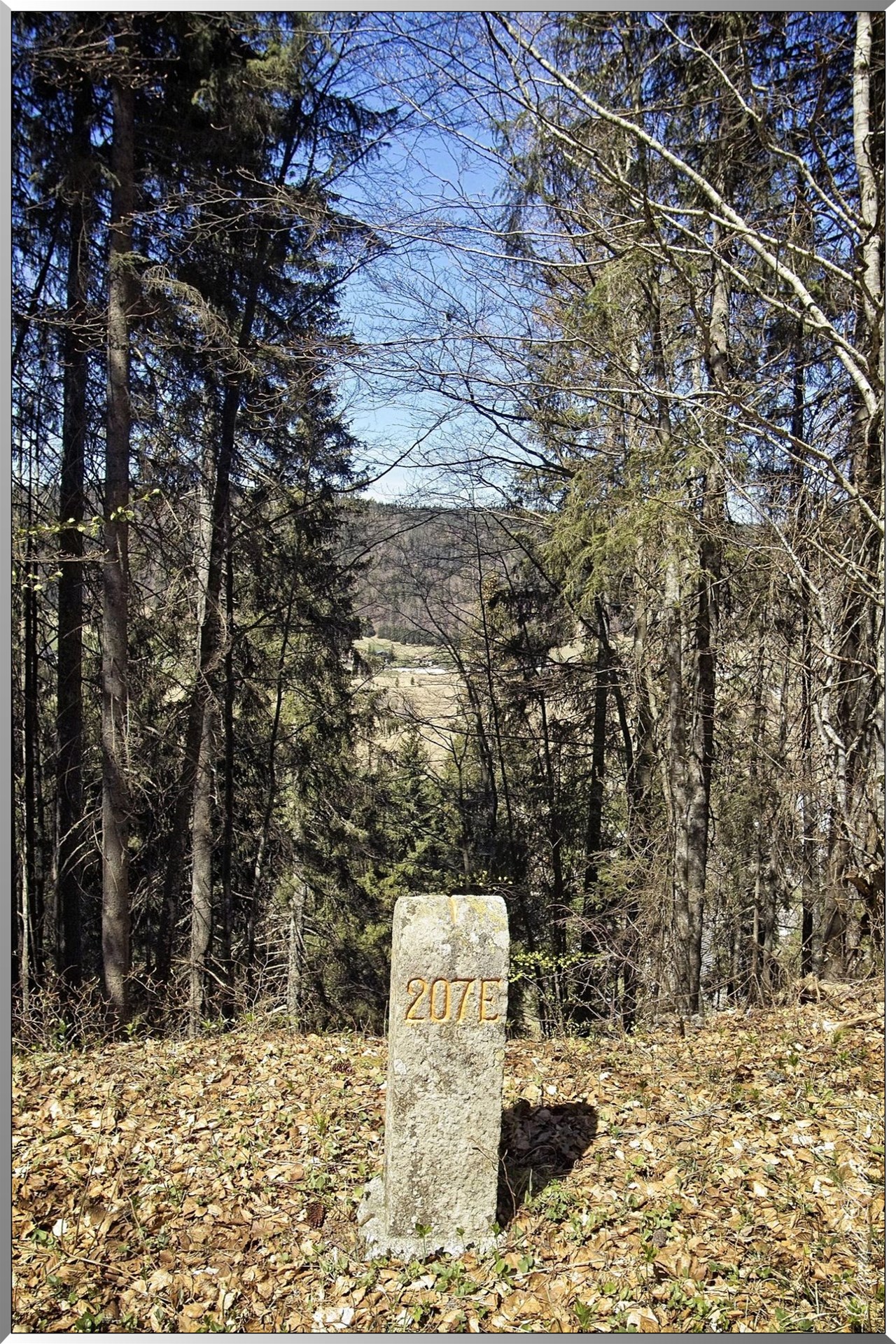 Borne frontière Suisse