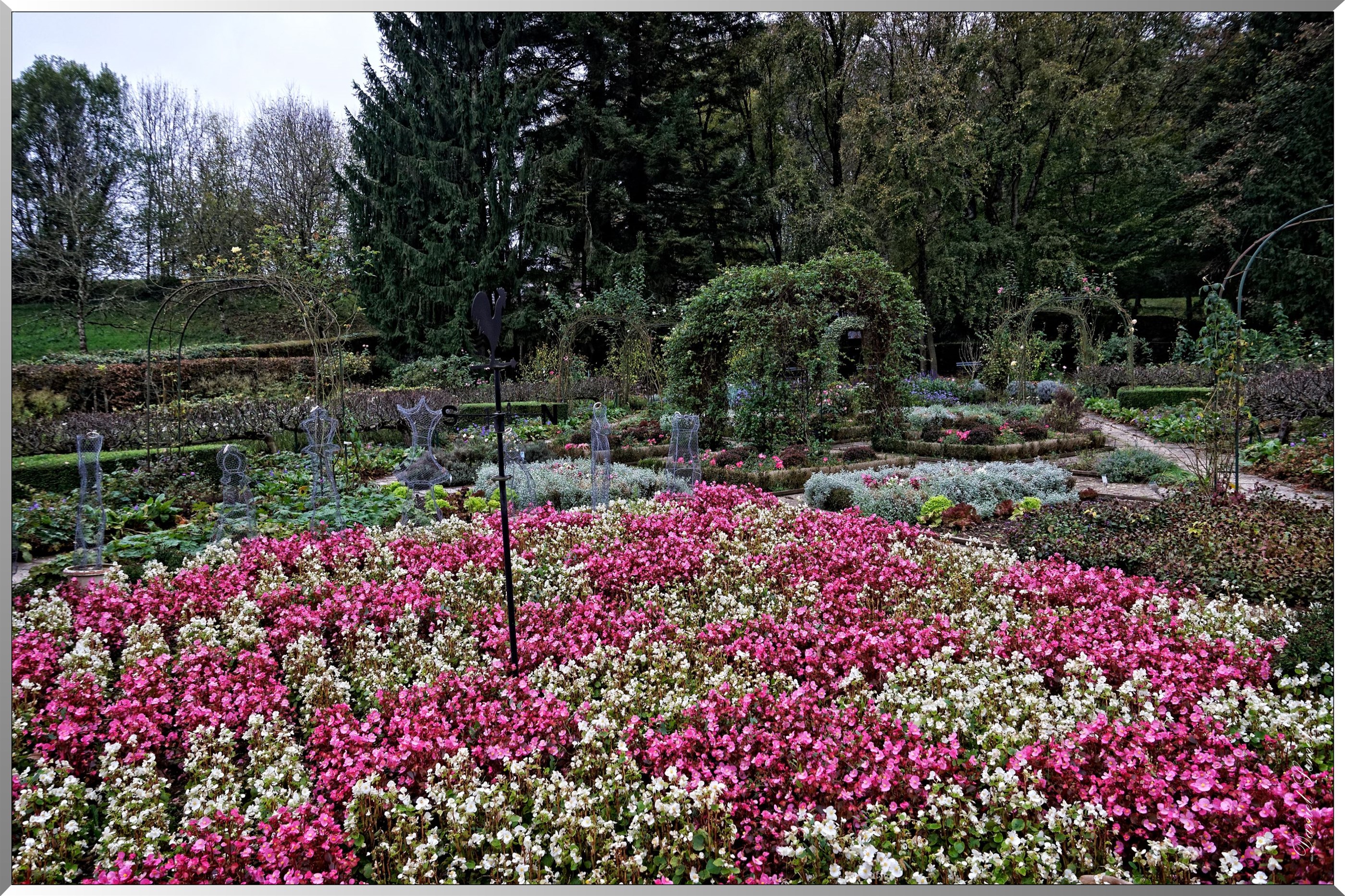 Jardin fleuri