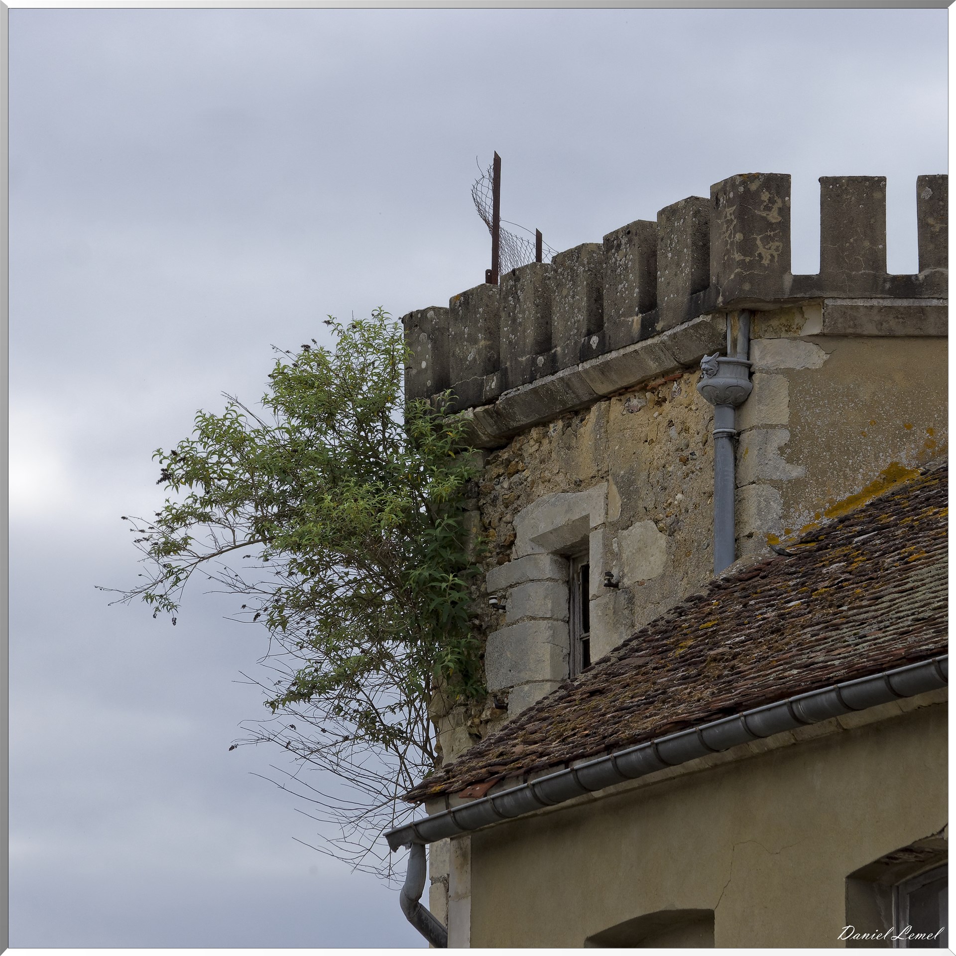  DSC0011 DxOW