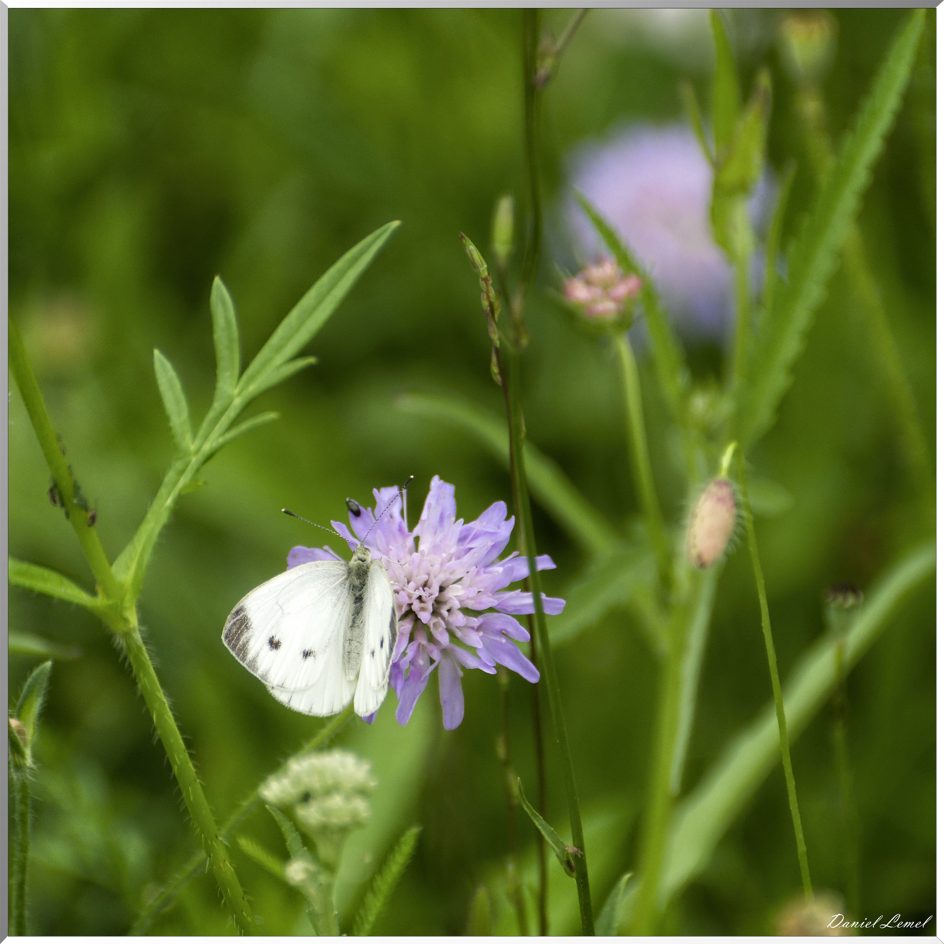  DSC0032 DxOW