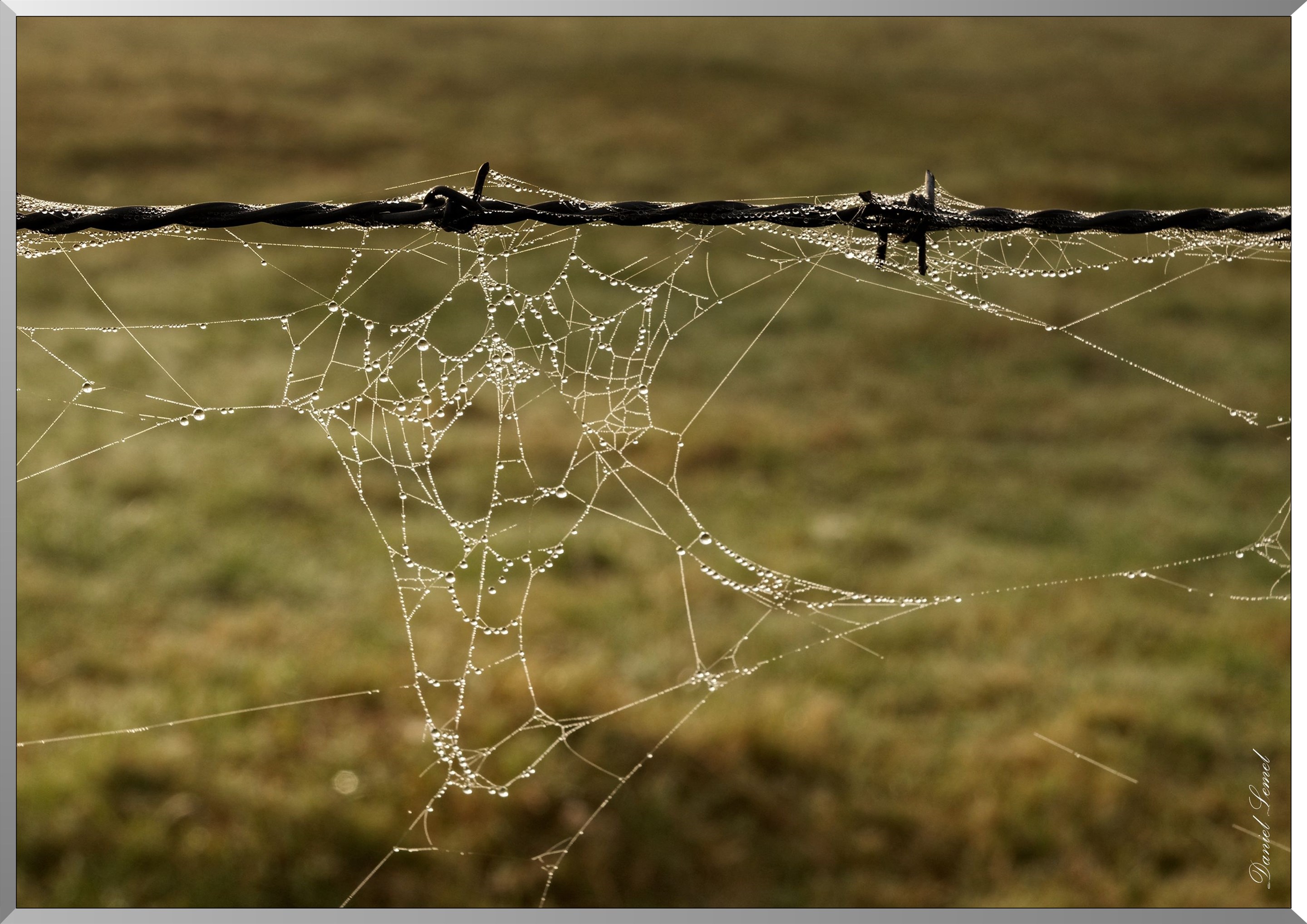 Saint-Pierre la Garenne