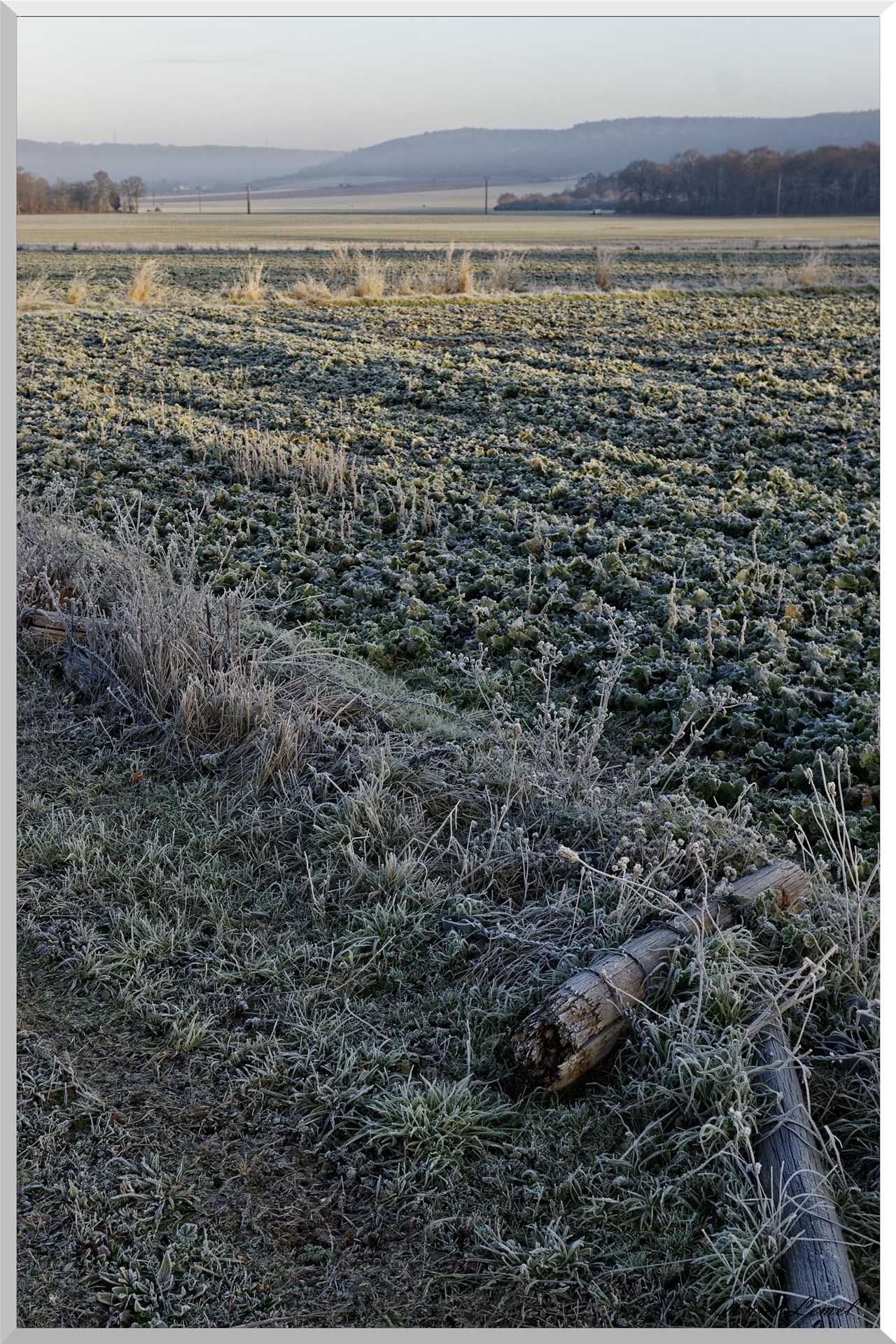 Pressagny l'orgueilleux