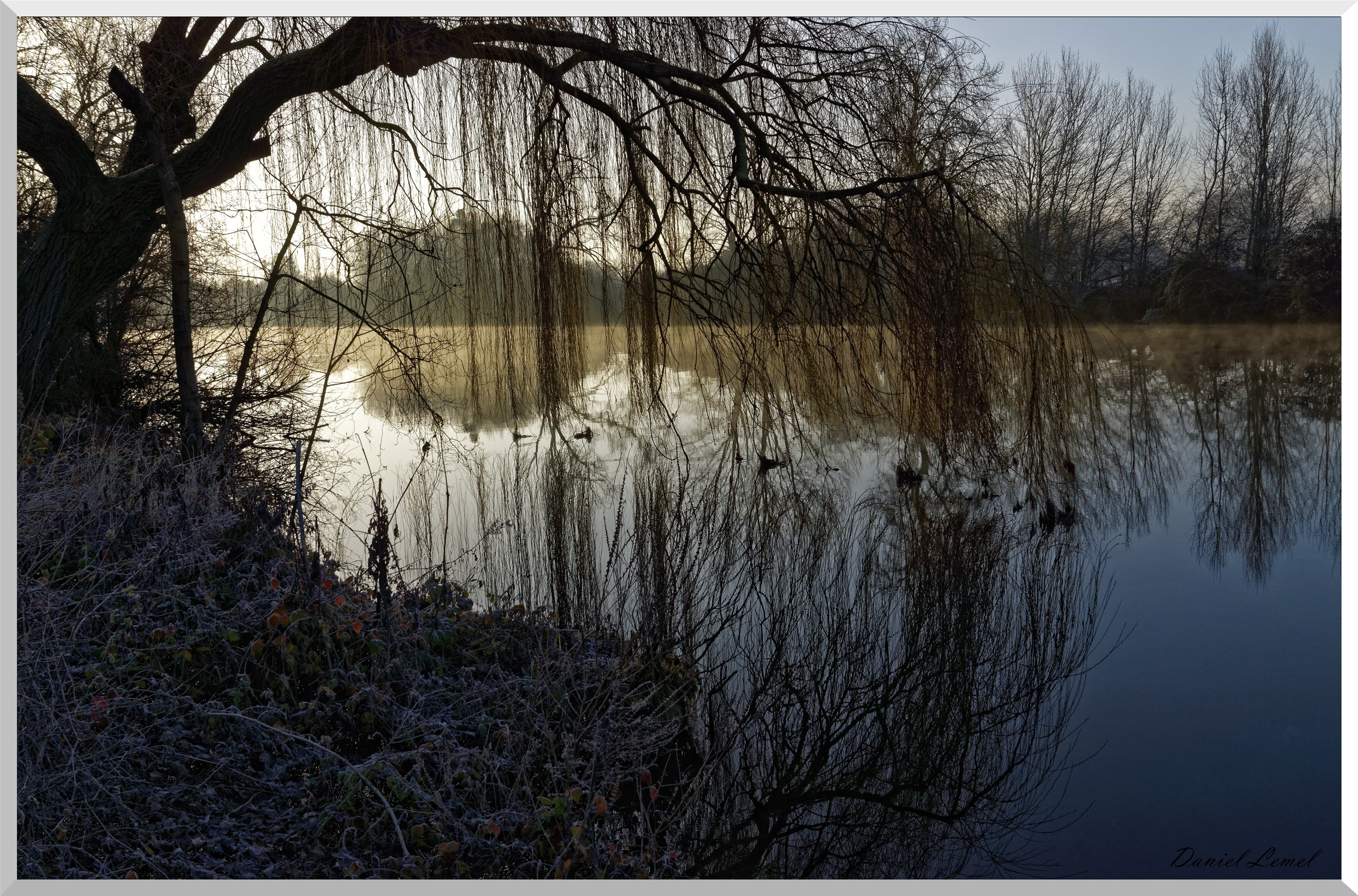 Pressagny l'orgueilleux