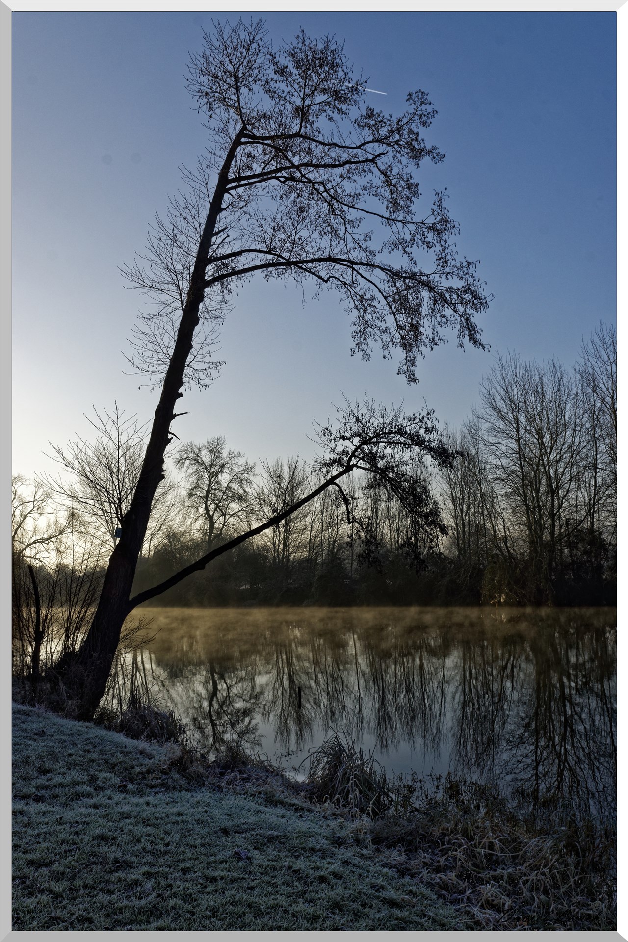 Pressagny l'orgueilleux