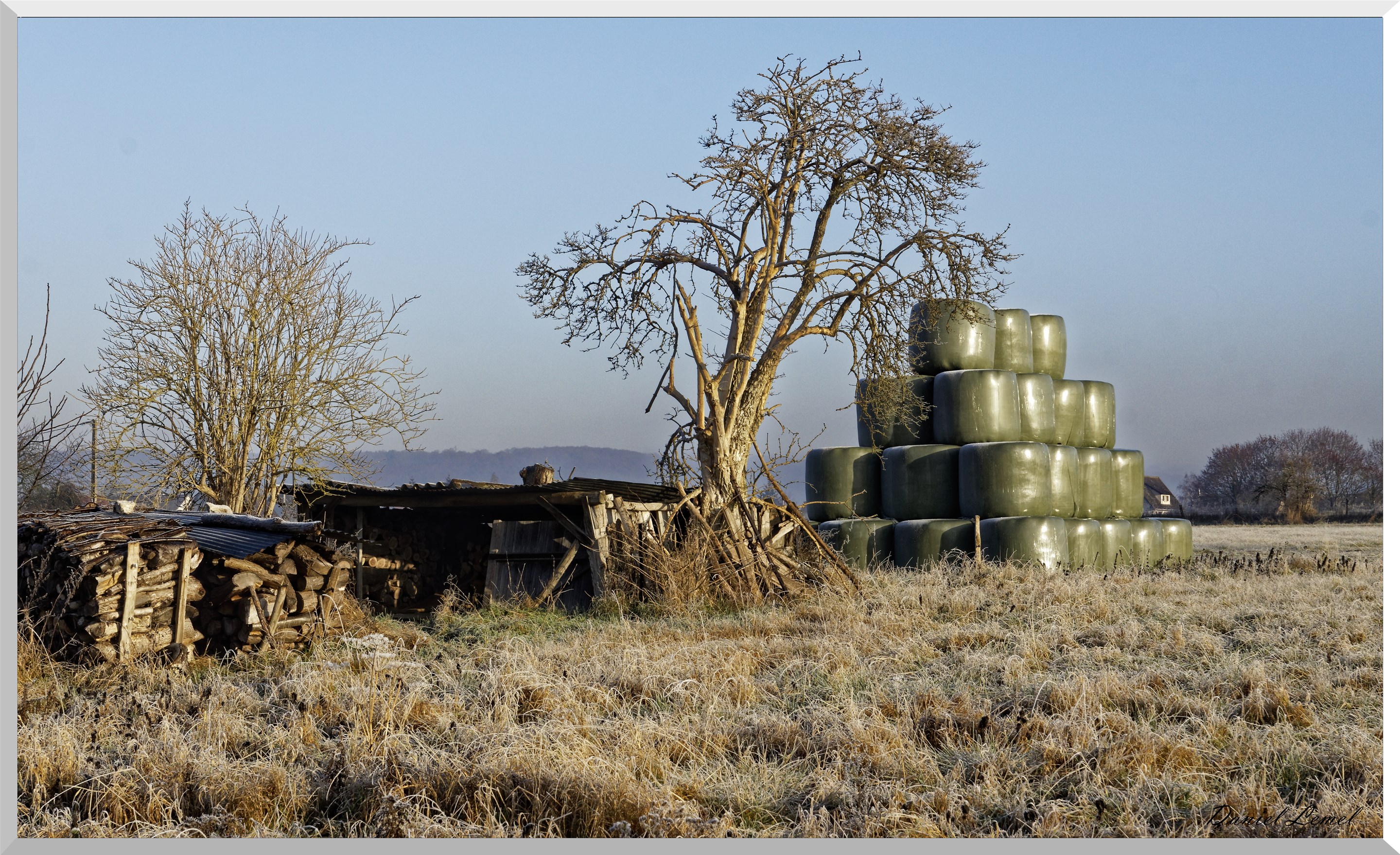Pressagny l'orgueilleux