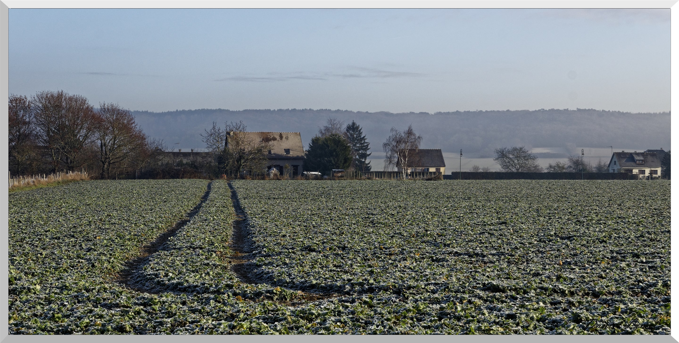 Pressagny l'orgueilleux