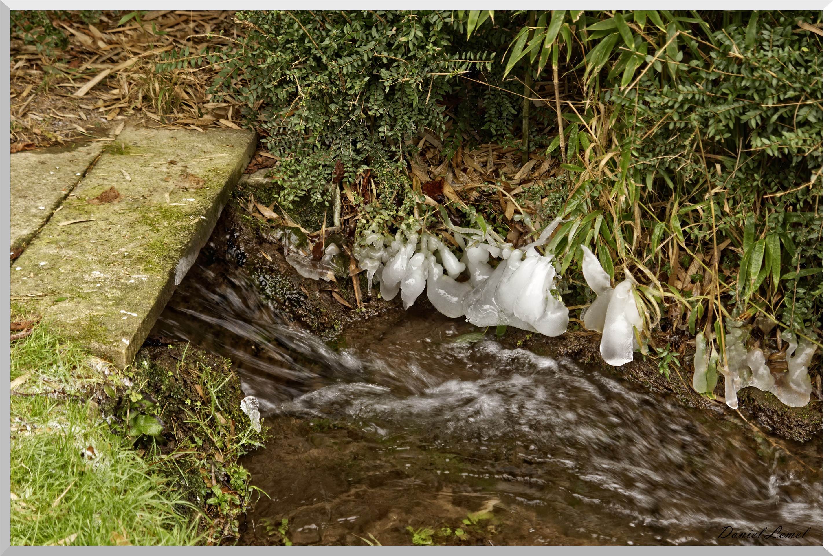 Notre-Dame-de-l'Isle