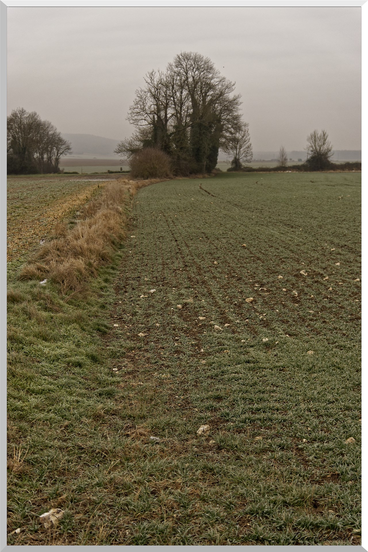 Notre-Dame-de-l'Isle