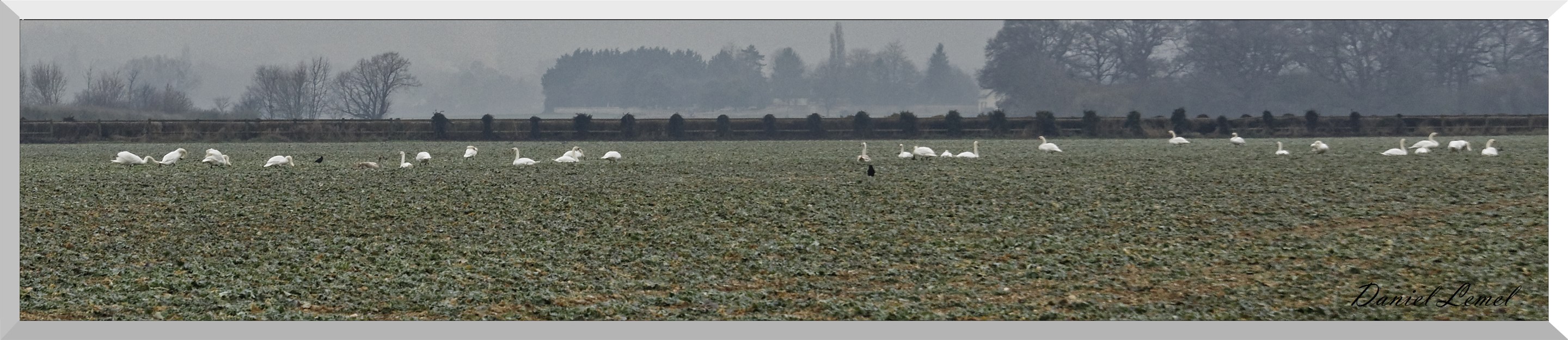 Notre-Dame-de-l'Isle
