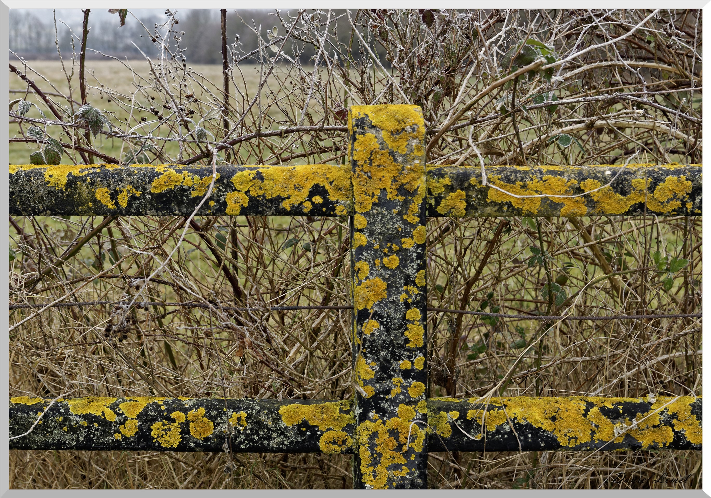 Notre-Dame-de-l'Isle