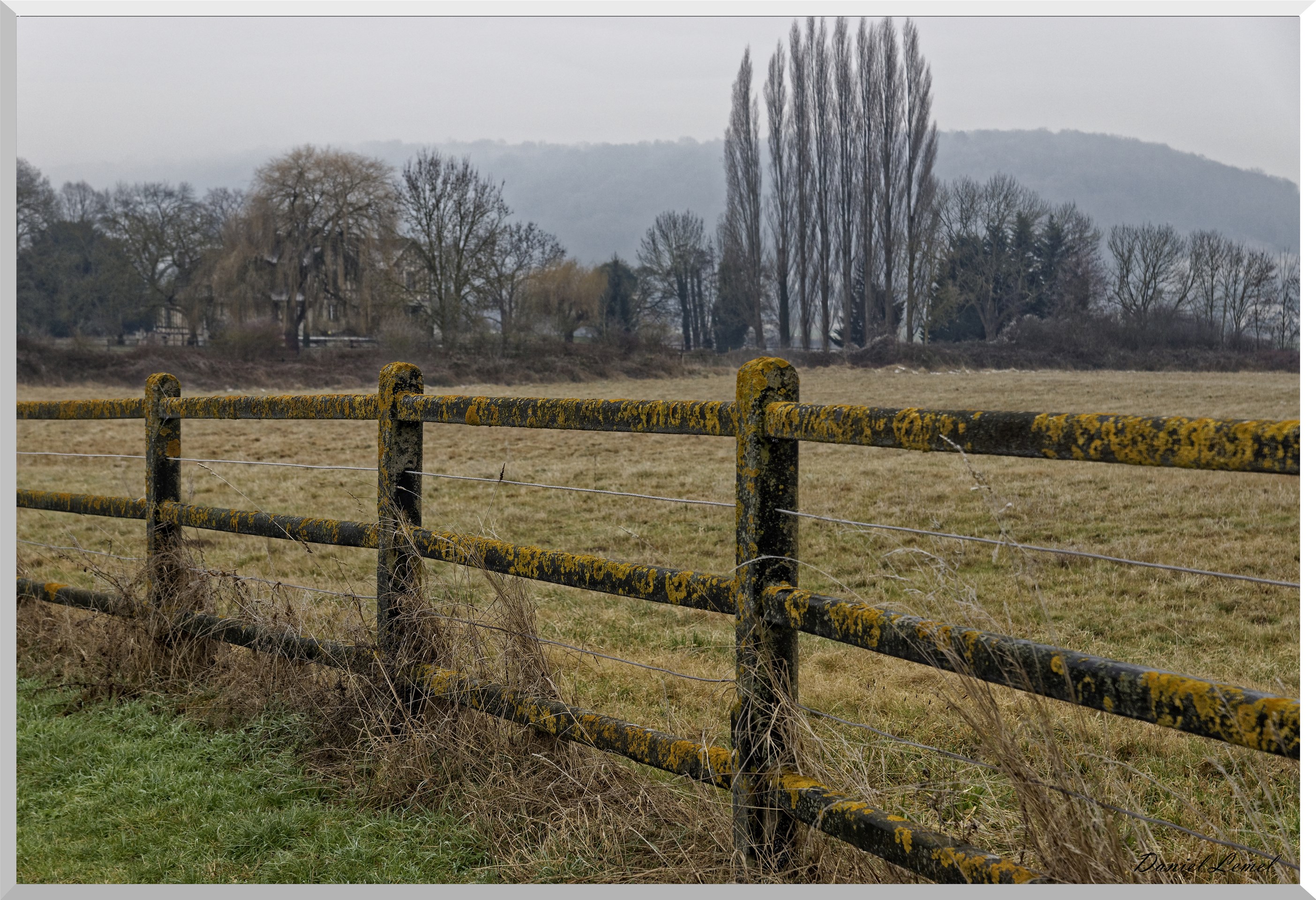 Notre-Dame-de-l'Isle