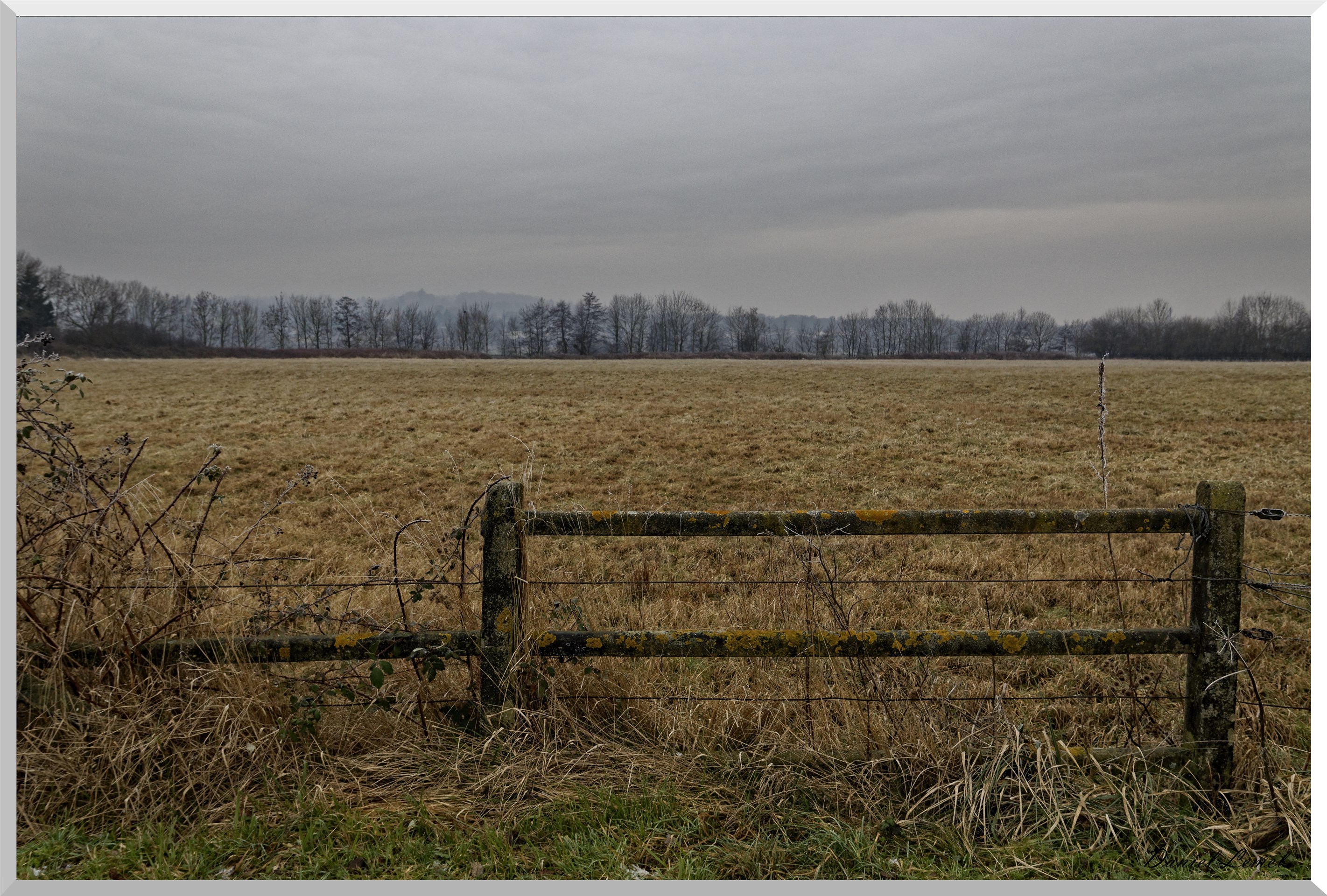 Notre-Dame-de-l'Isle