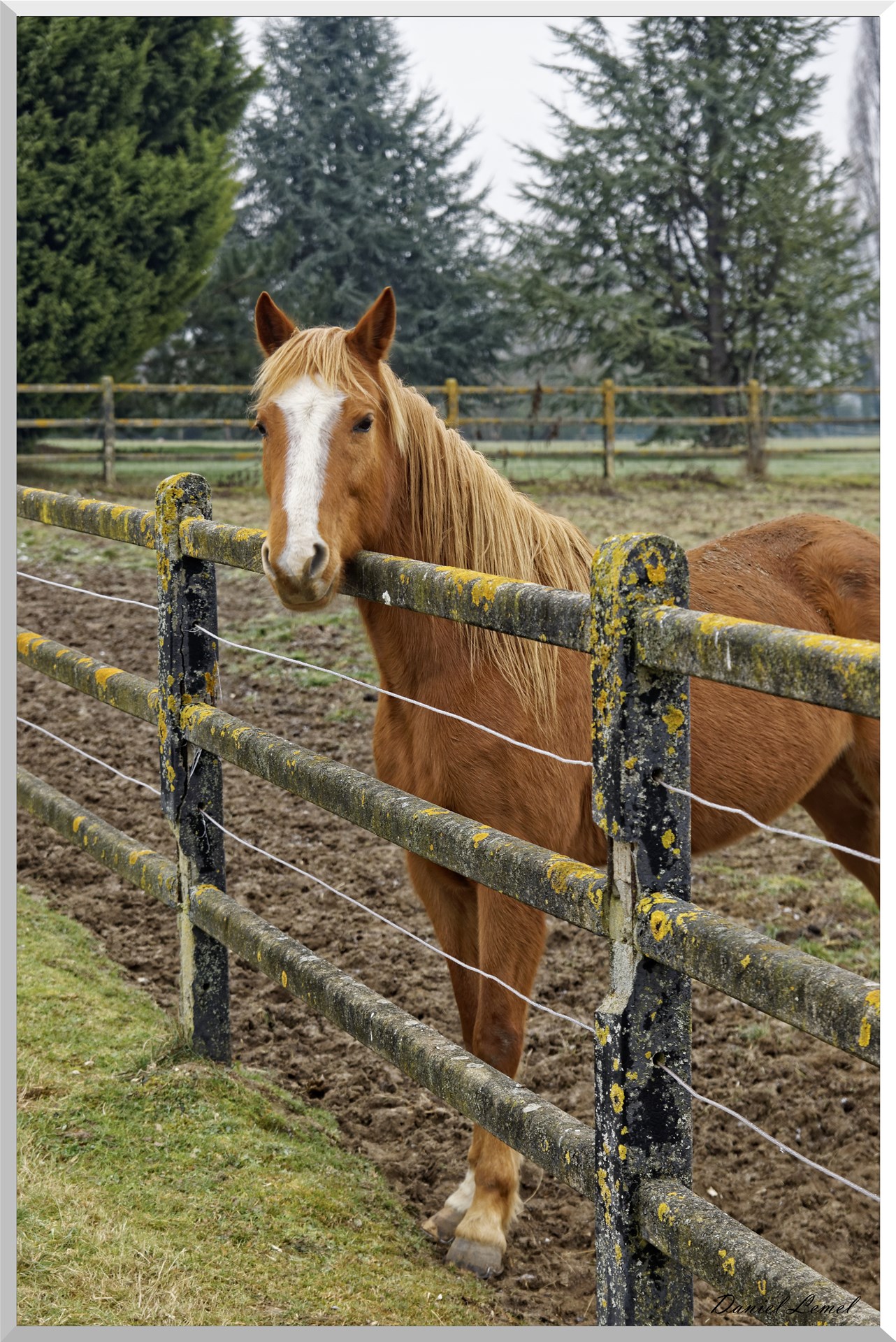 Notre-Dame-de-l'Isle