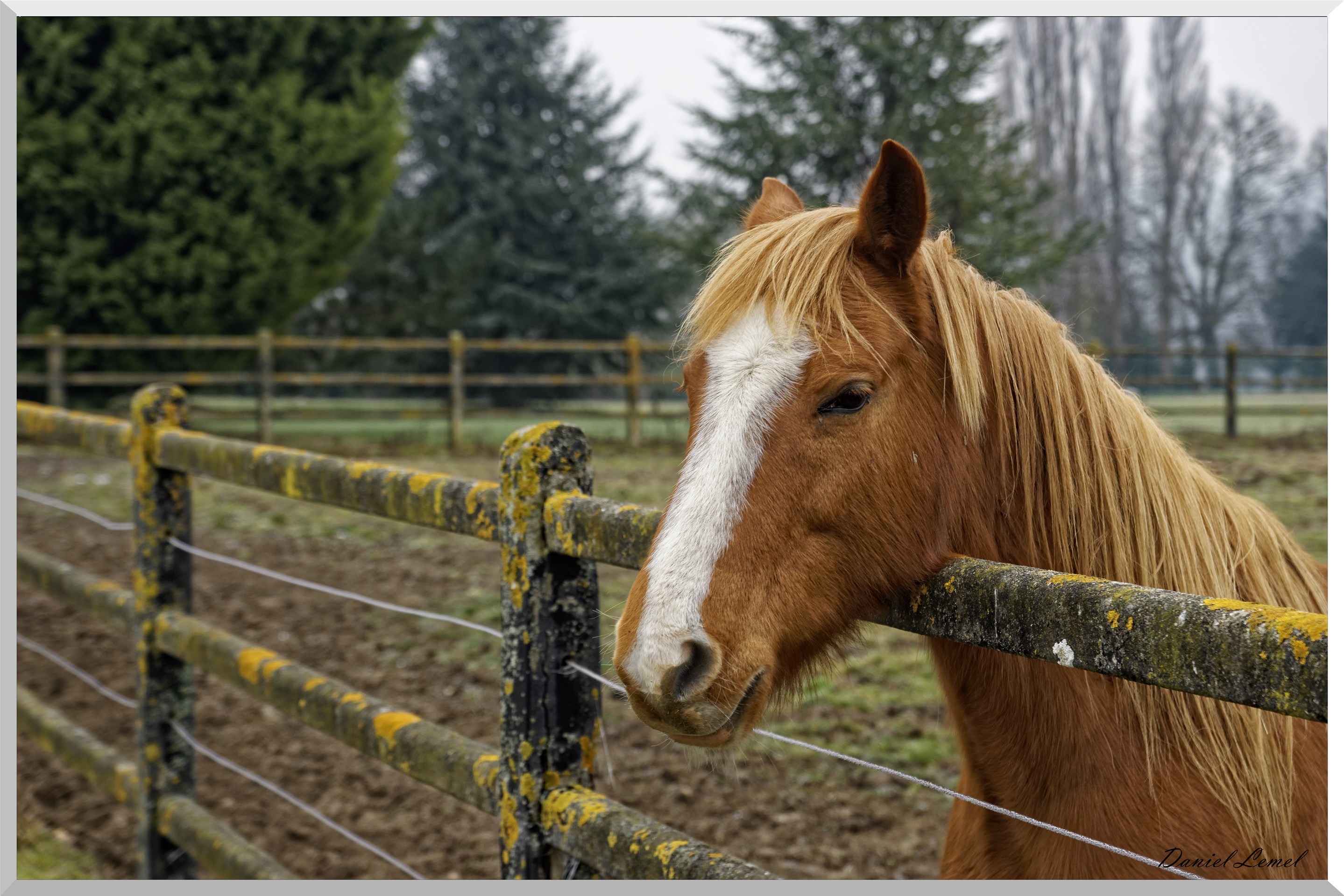 Notre-Dame-de-l'Isle